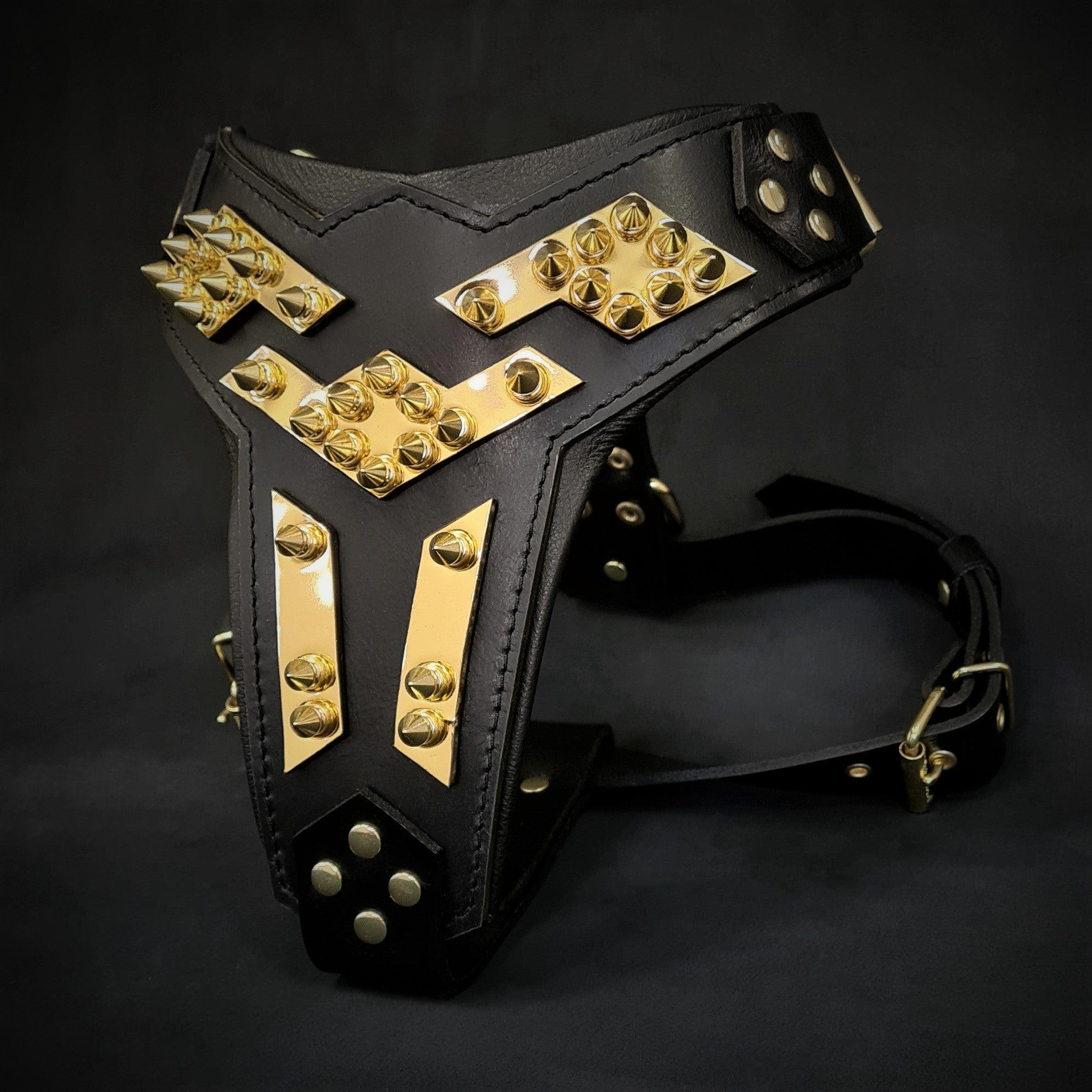 The Midas leather dog harness gold