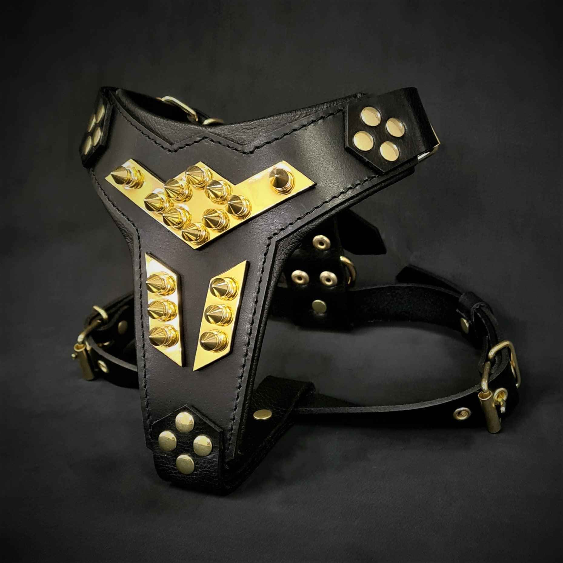 Bestia Midas Leather Gold Medium Dog Harness