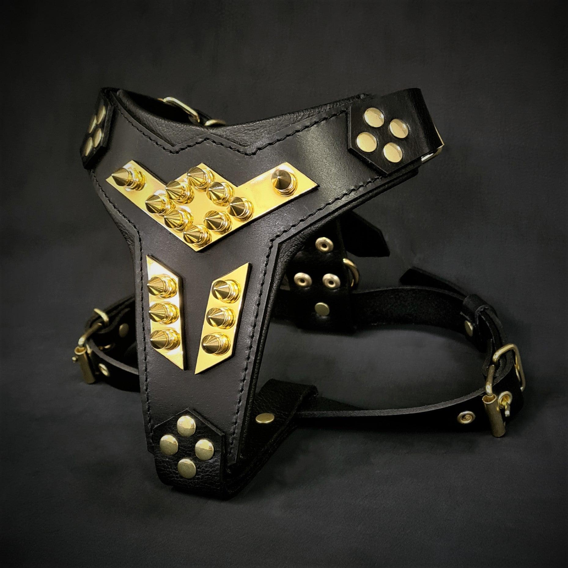 Midas leather dog harness gold medium size