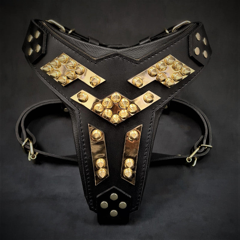 Bestia Dog Gear The Midas leather dog harness gold Genuine Leather Gold pet supplies