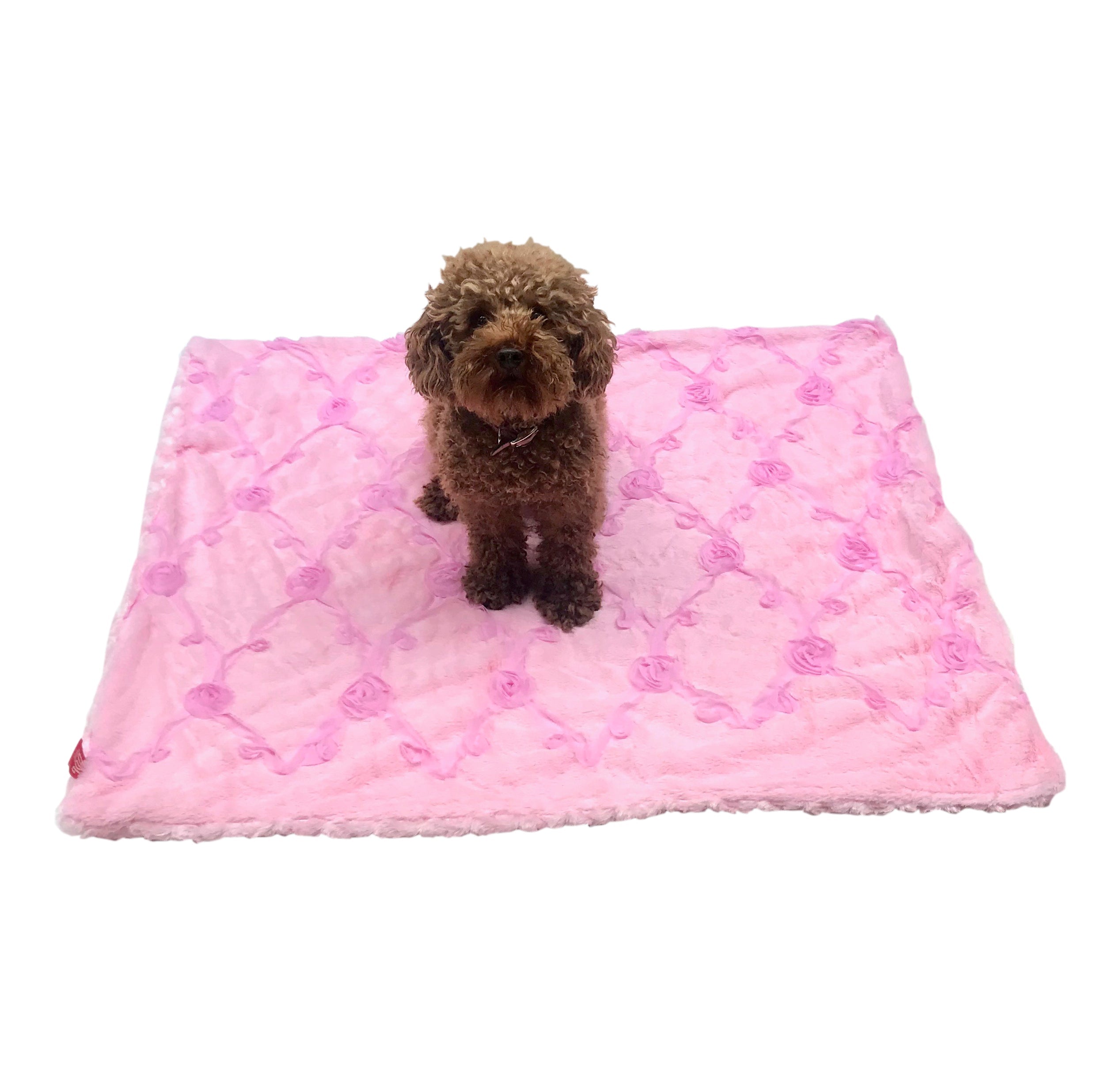 Blanket, Embroidered Roses in Pale Pink