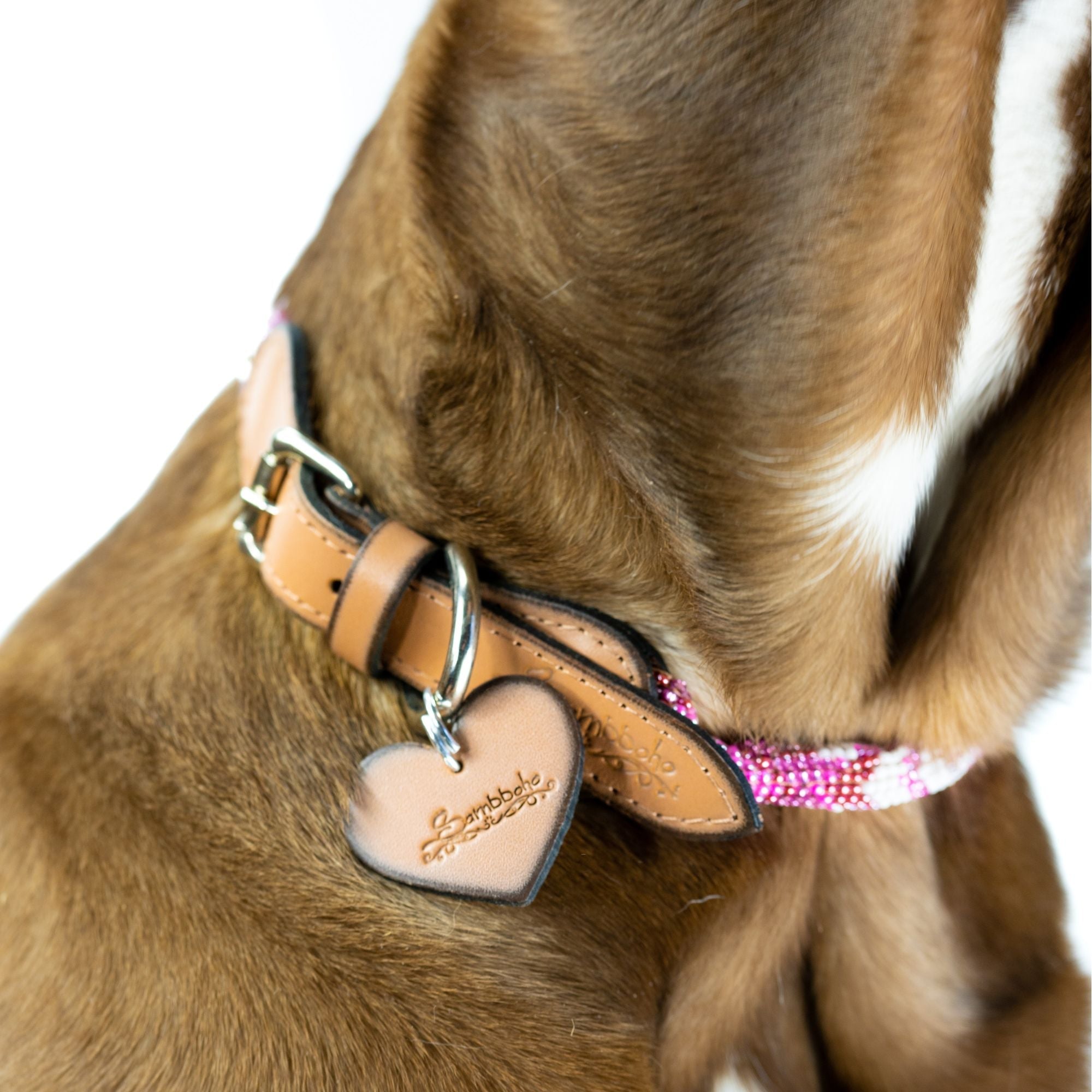 Melrose Sambboho dog collar (rolled)