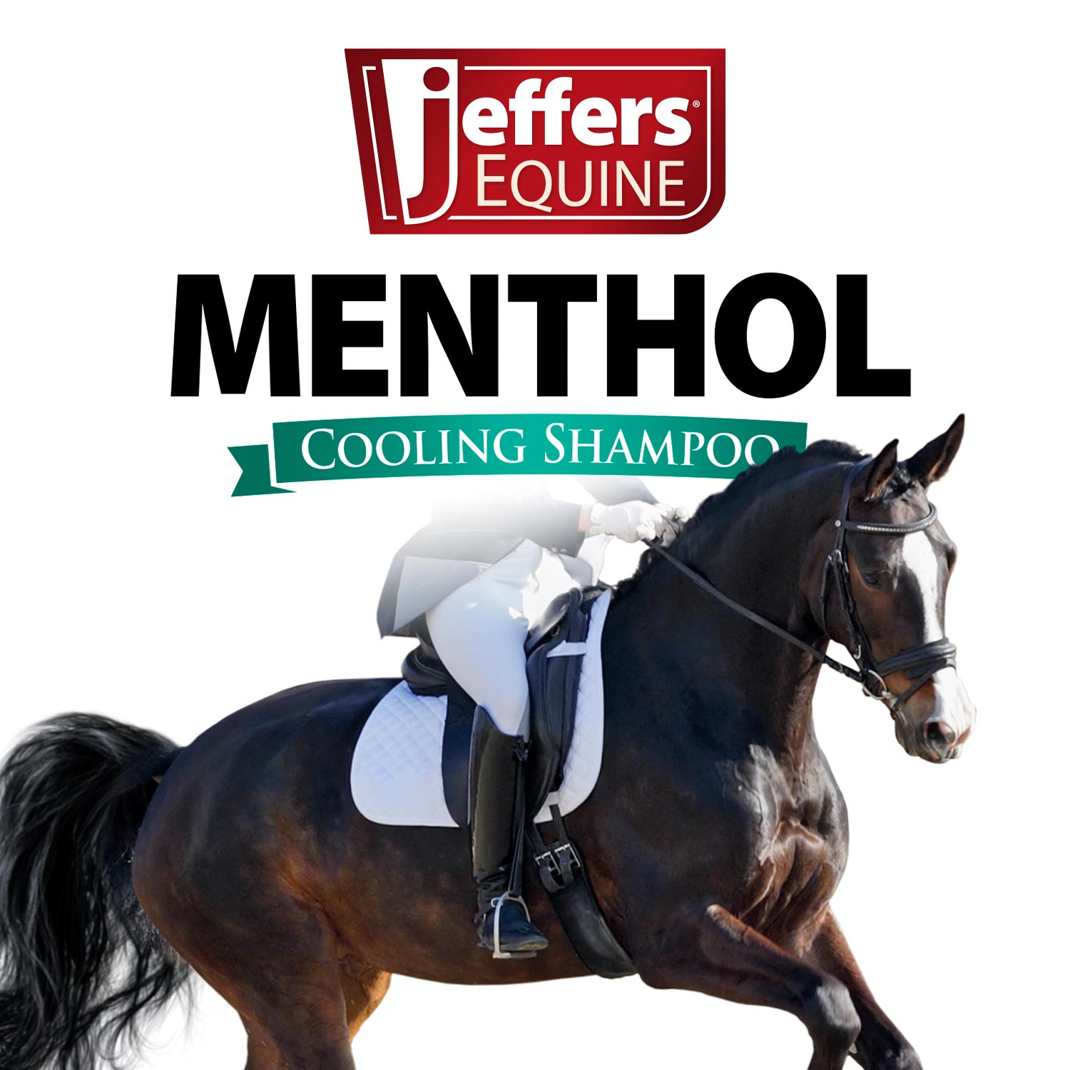 Jeffers Equine Menthol Cooling Shampoo for Horses