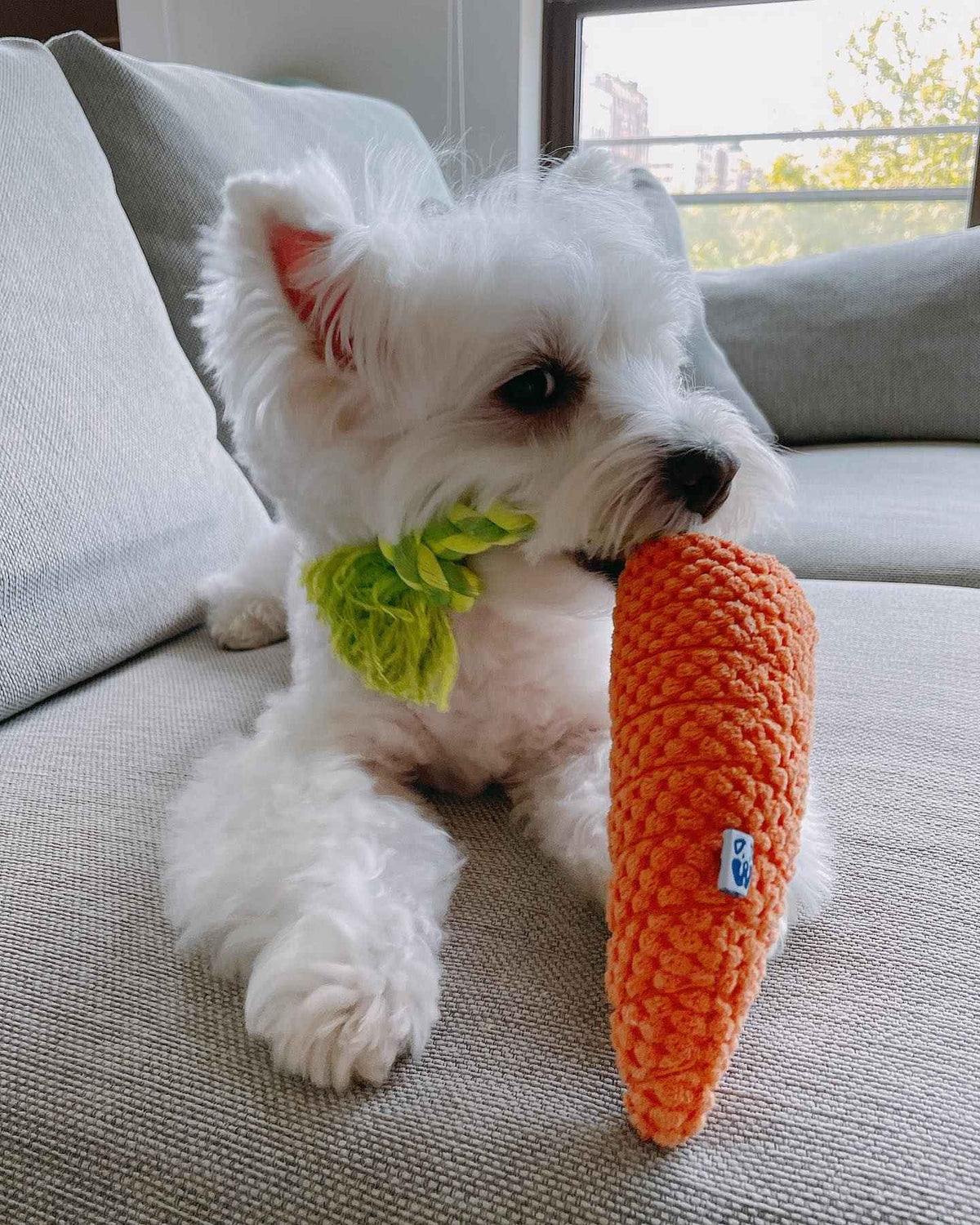 Pawty Carrot Plush Squeaky Dog Toy