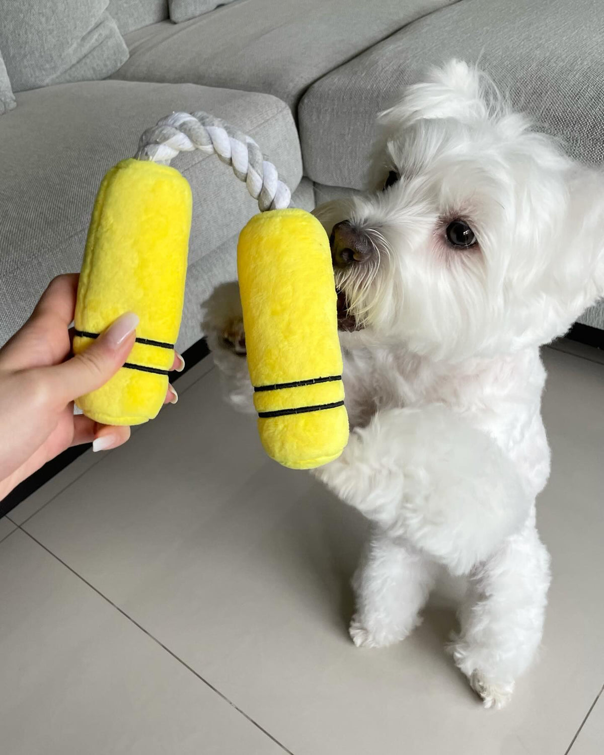 Pawty Nunchucks Plush Tug Dog Toy