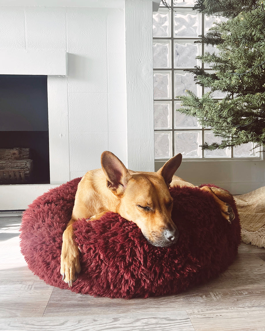 POD DOG BED - HT Animal Supply