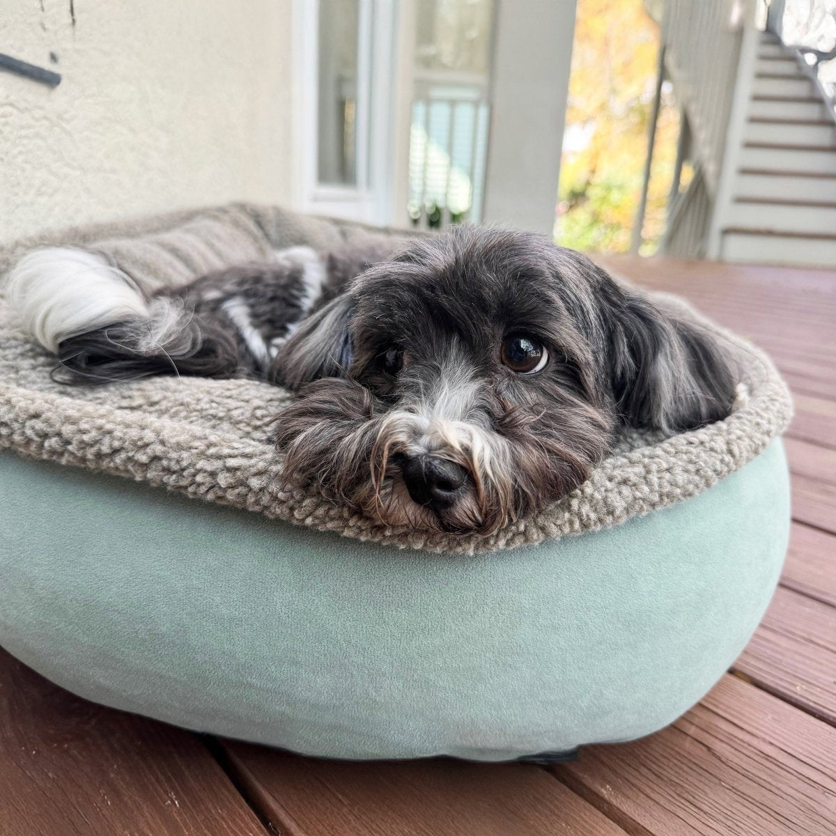 Microfiber Comfy Cup premium pet product