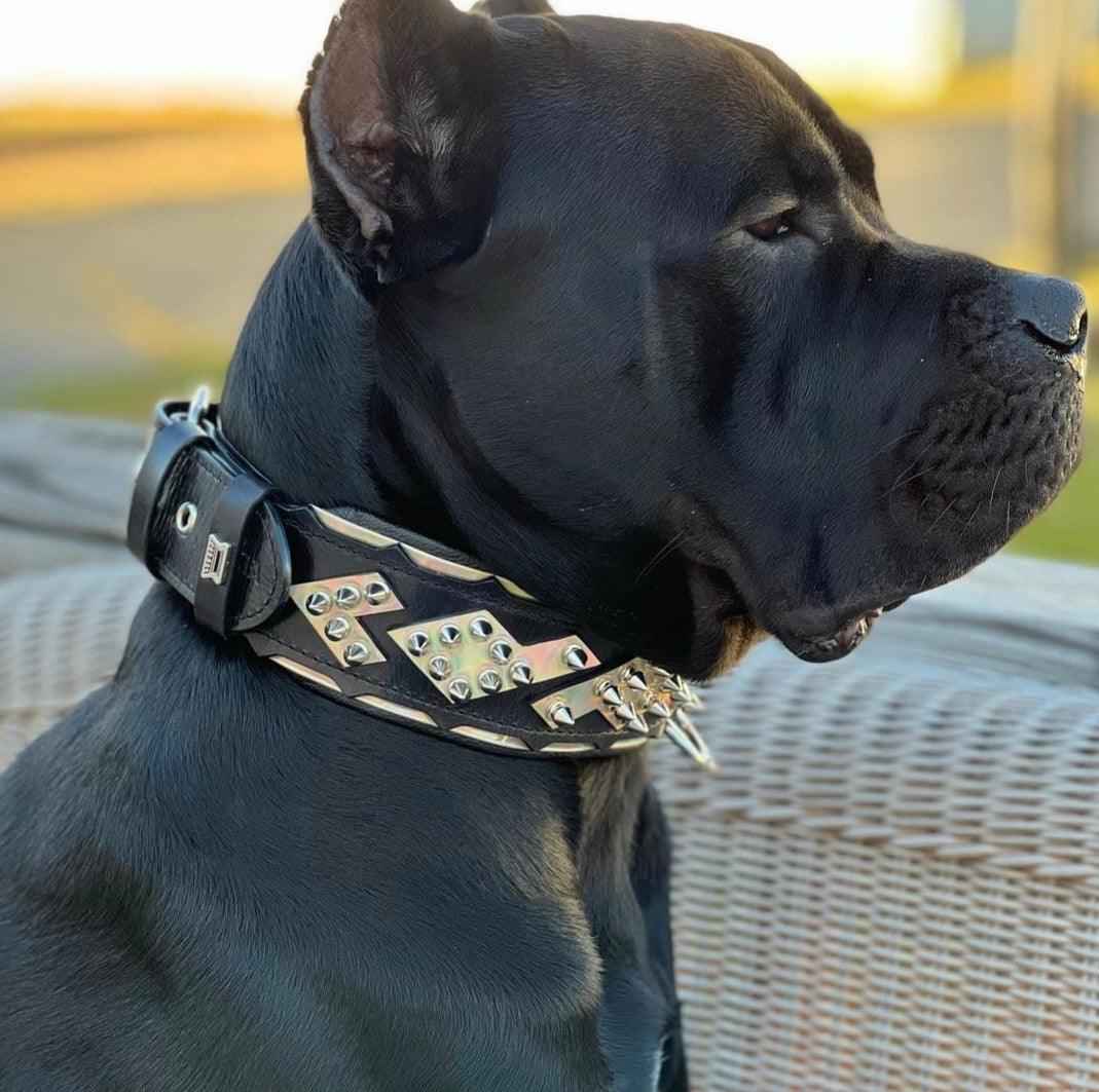 Bestia Midas Silver Leather Dog Collar