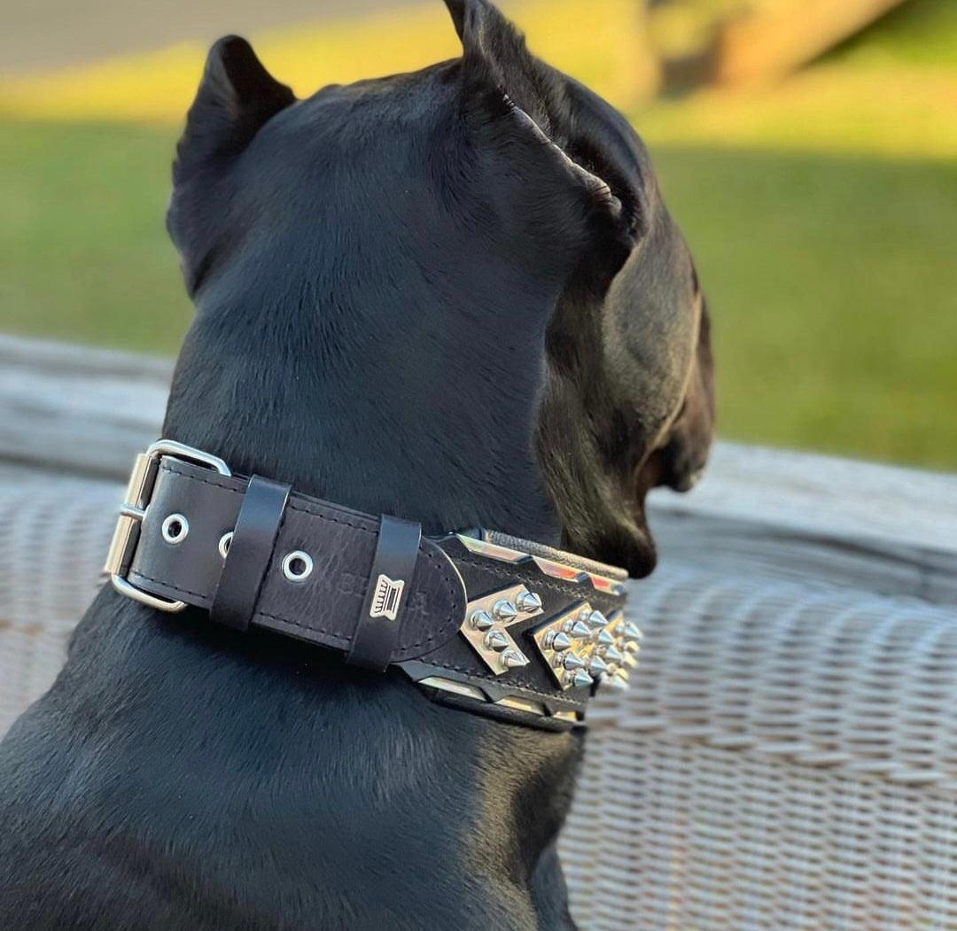 Bestia Midas Silver Leather Dog Collar