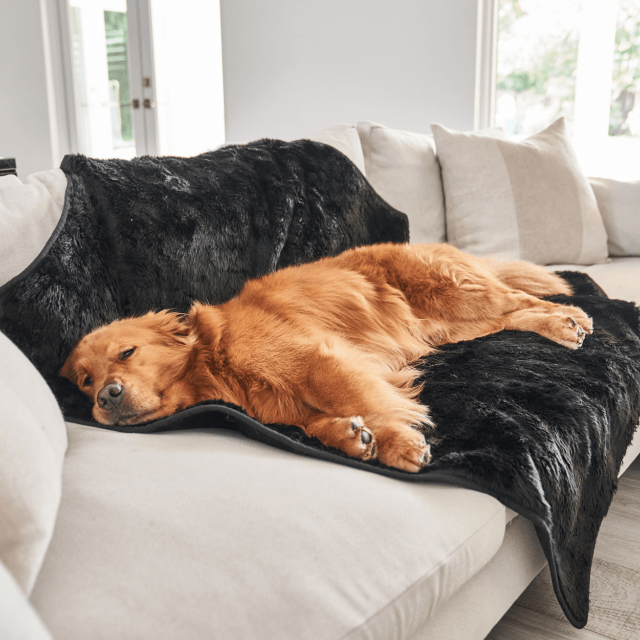 PupProtector Short Fur Waterproof Throw Blanket Midnight Black 
