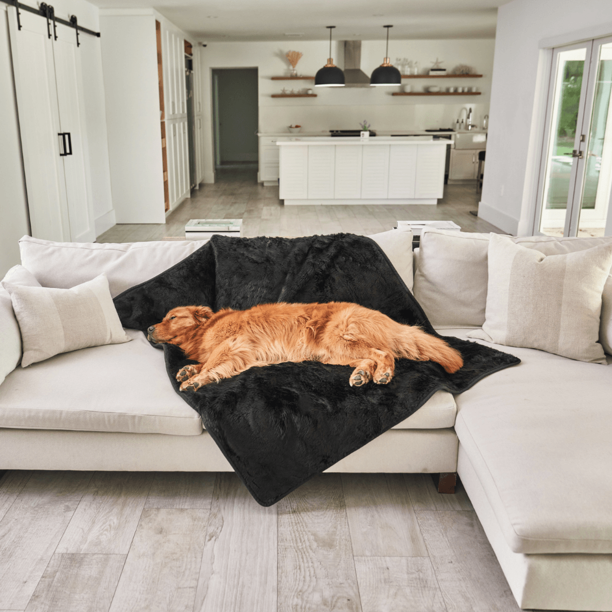 PupProtector Short Fur Waterproof Throw Blanket Midnight Black