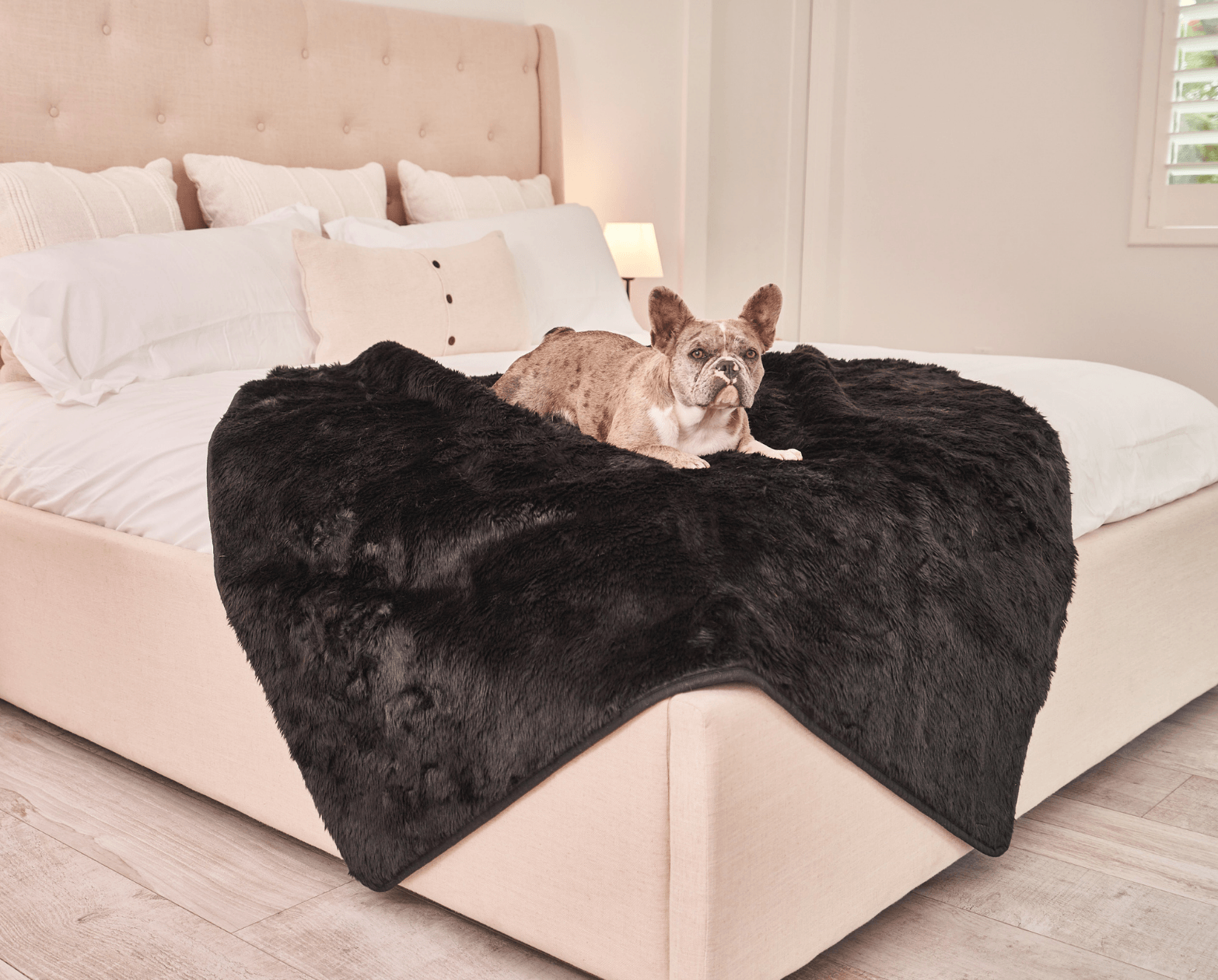 PupProtector Short Fur Waterproof Throw Blanket Midnight Black