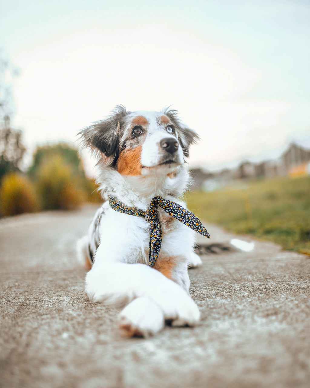Adventure Necktie