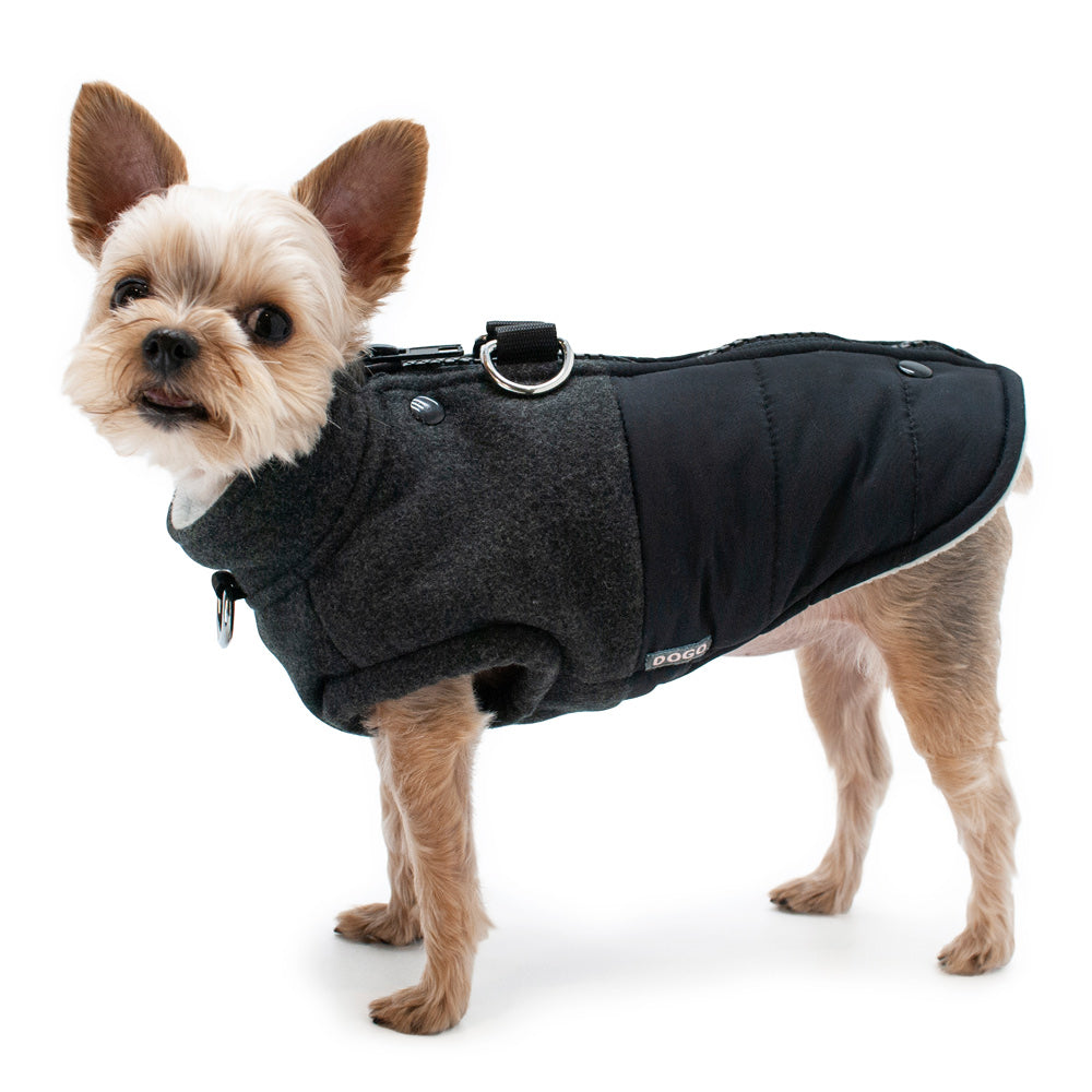 DOGO Midtown Dog Runner Coat
