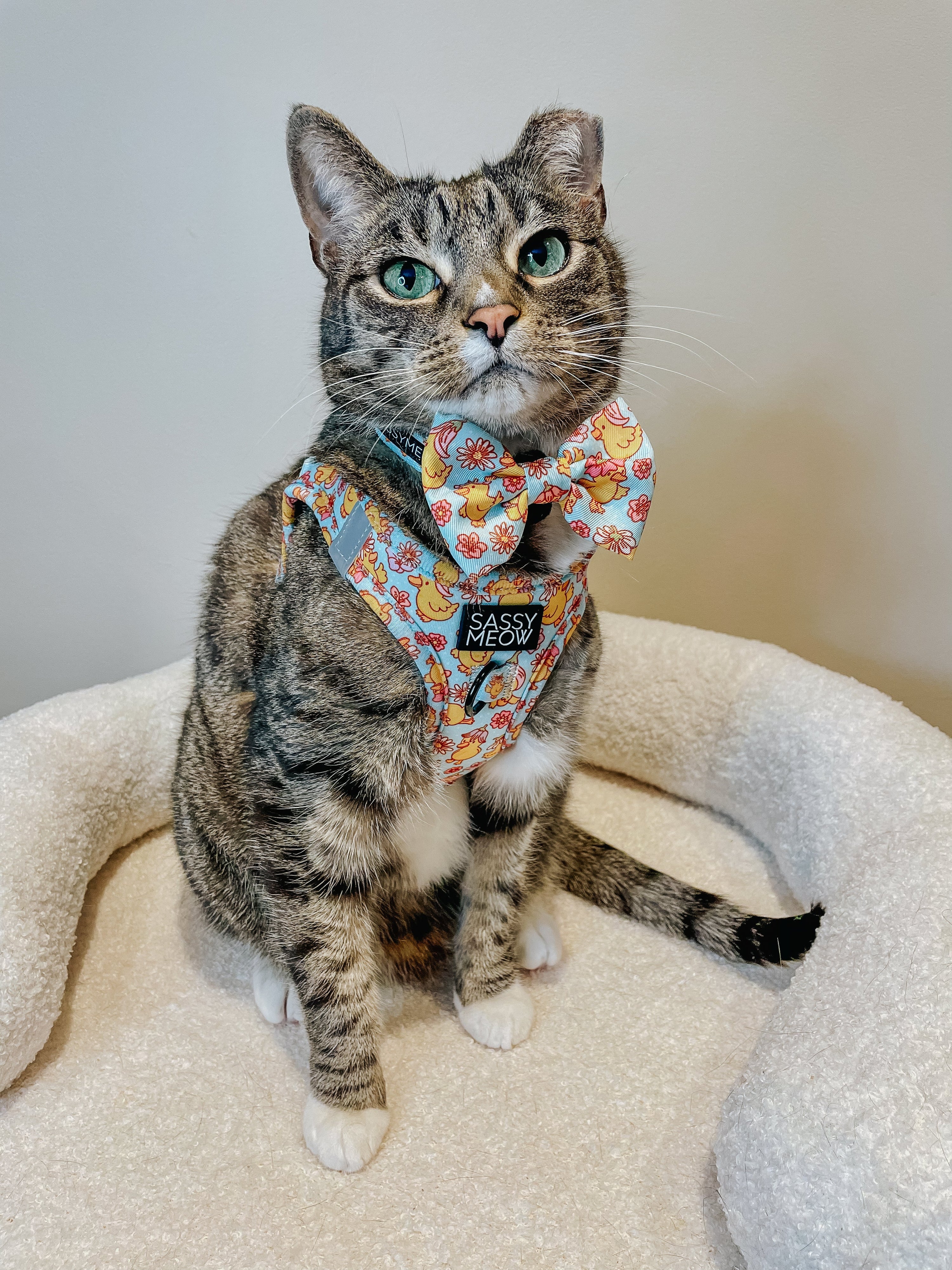 Cat Step-In Harness - Good Duck, Babe!