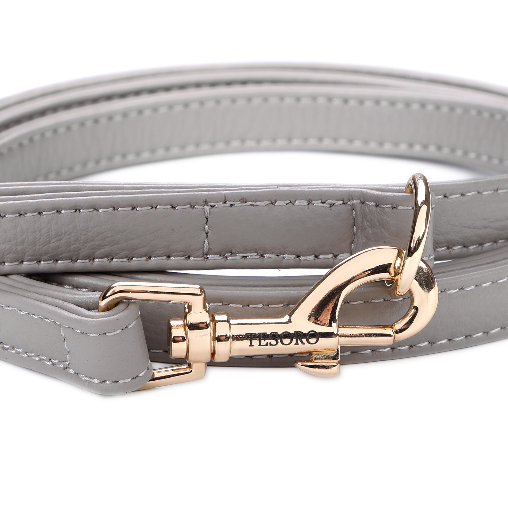 Dog Leash