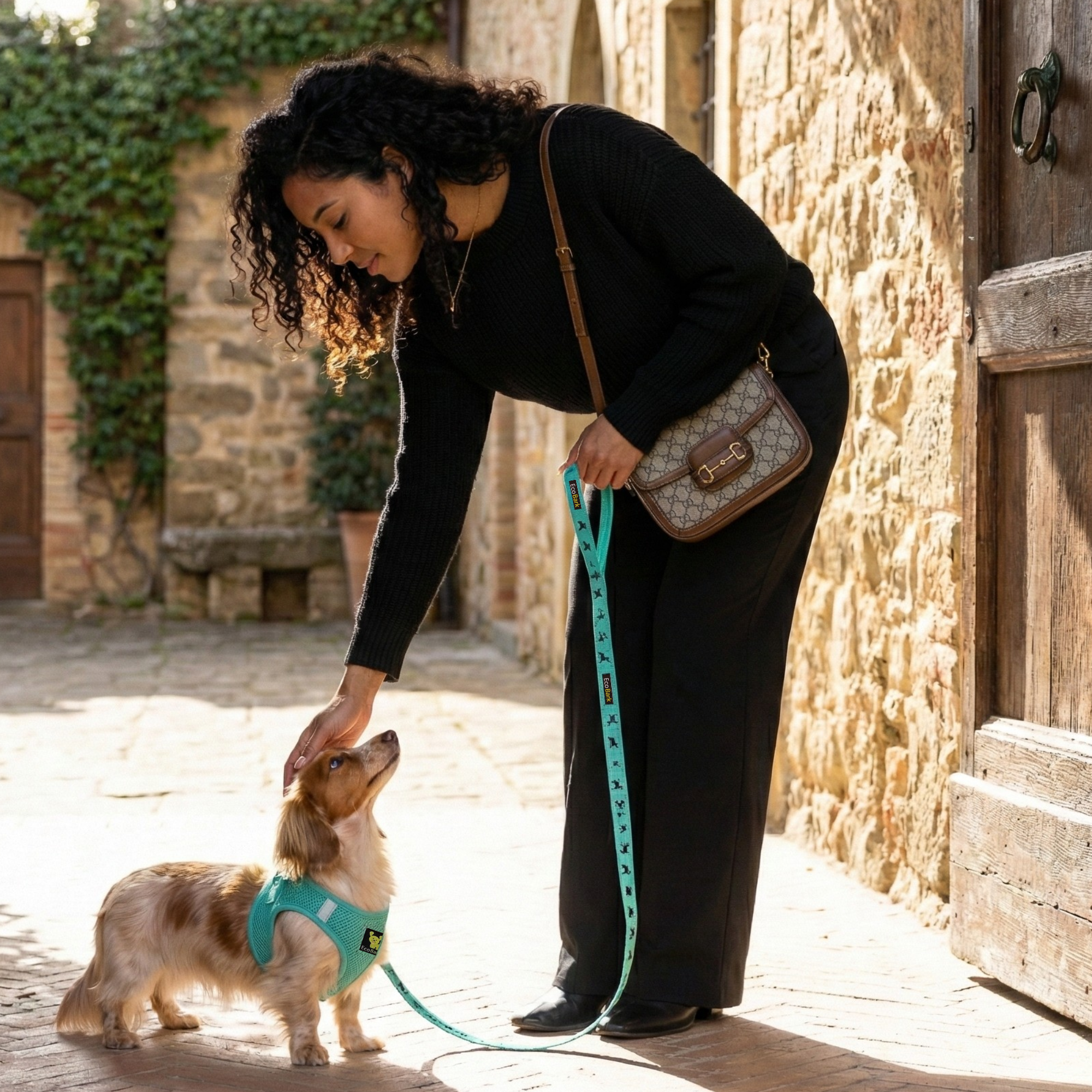 EcoBark Step In Dog Harness - Teacup & Small Breeds- Reflective Soft Mesh Harness for Teacup, Small Dogs and Puppies / Mint Turquoise