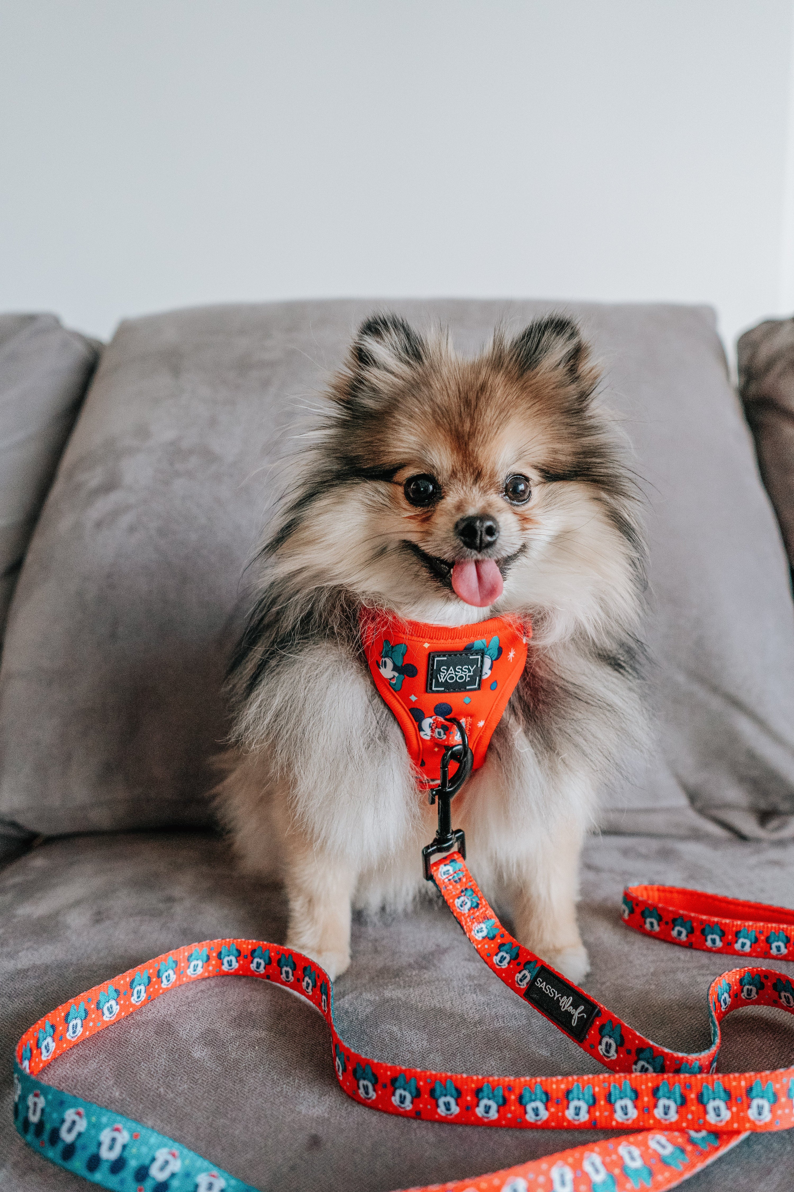 Dog Leash - Disney Holiday Collection