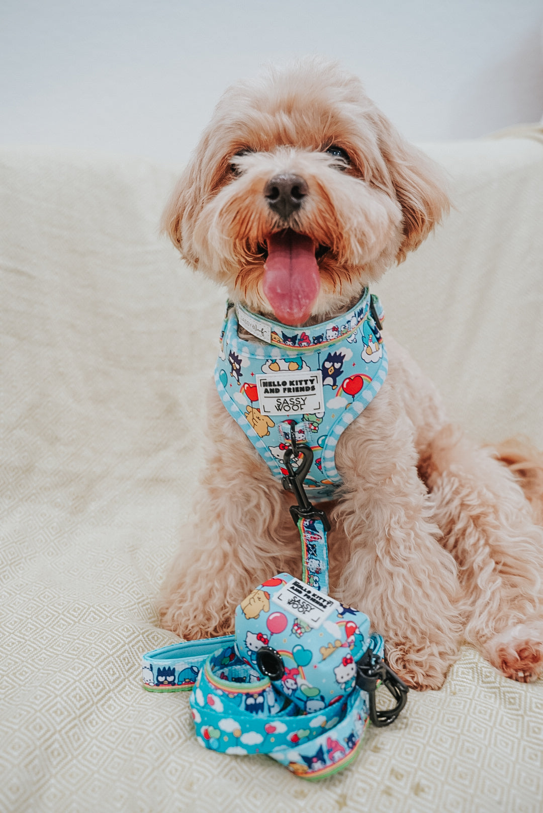 Dog Leash - Hello Kitty® & Friends In the Sky