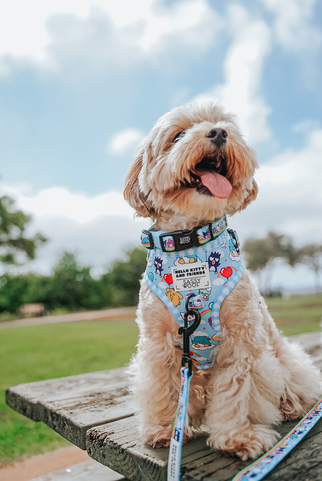 Dog Collar - Hello Kitty® & Friends In the Sky