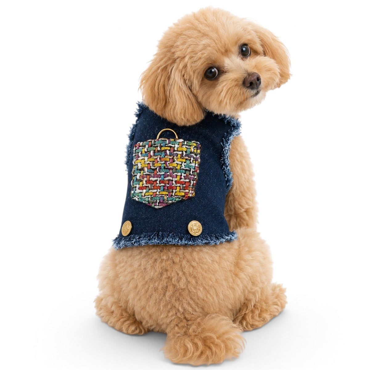 Heads or Tails Pup Denim & Tweed Couture Dog Harness