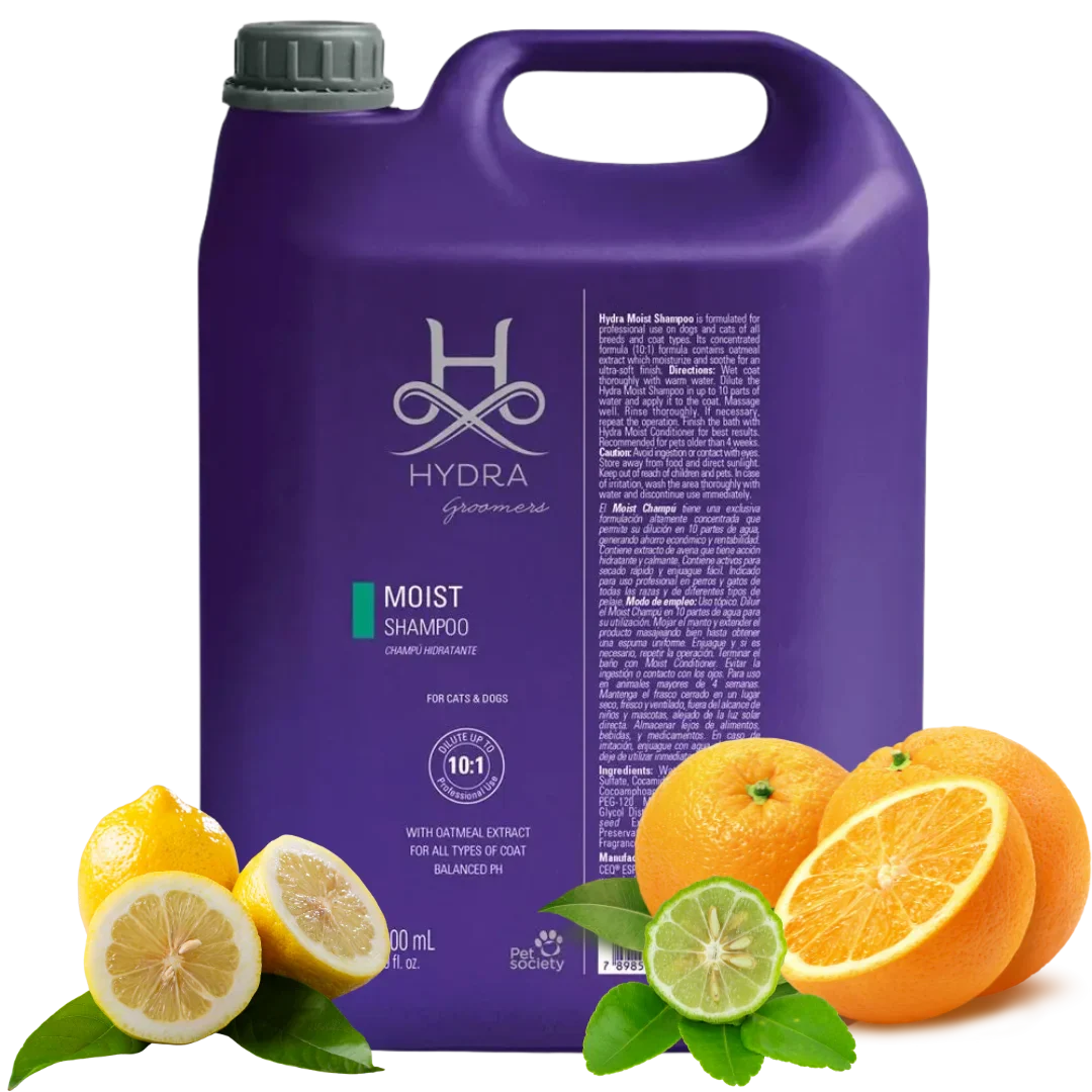 Moist Shampoo 1.3 Gallon by Hydra