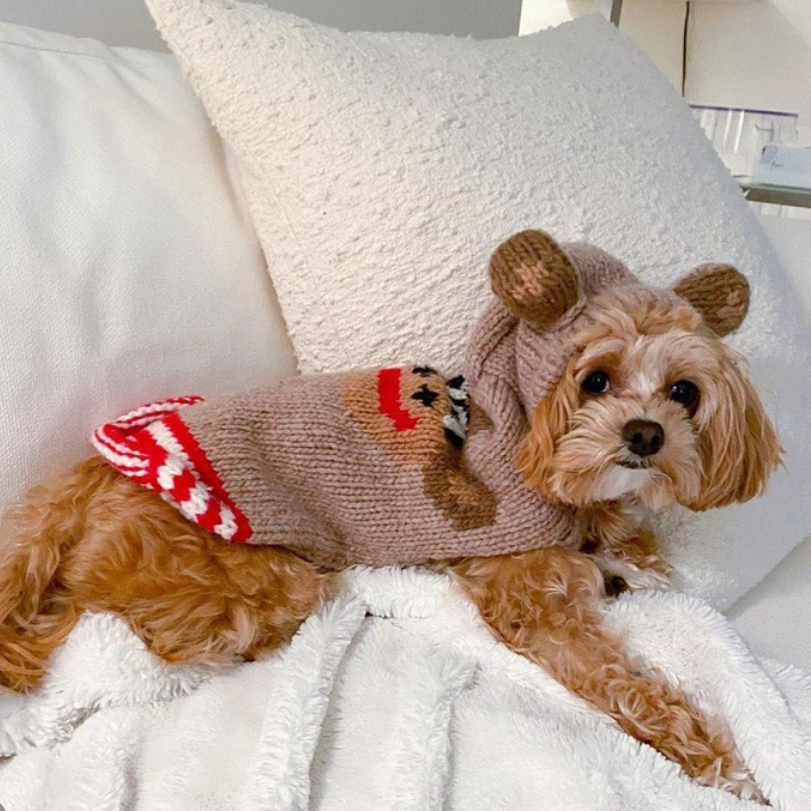 Chilly Dog Monkey Hoodie Dog Sweater