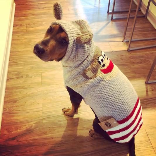 Chilly Dog Monkey Hoodie Dog Sweater
