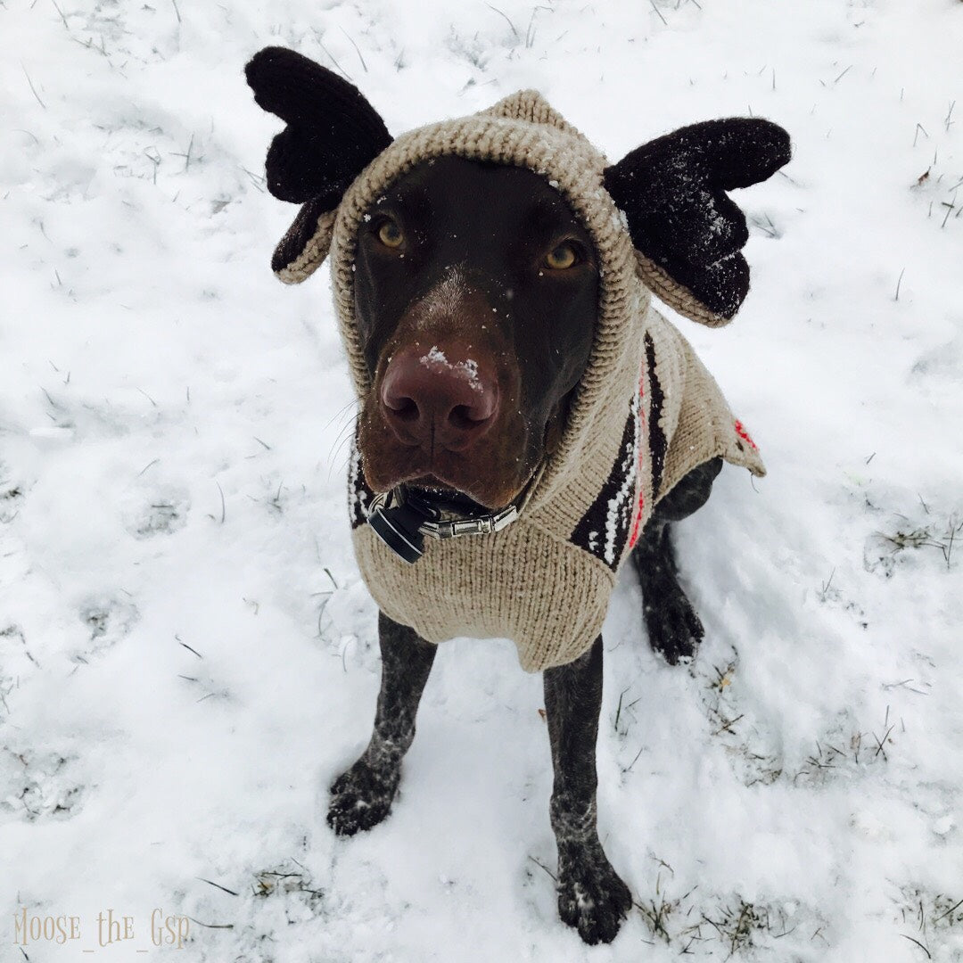 Chilly Dog Moosey Hoodie Dog Sweater