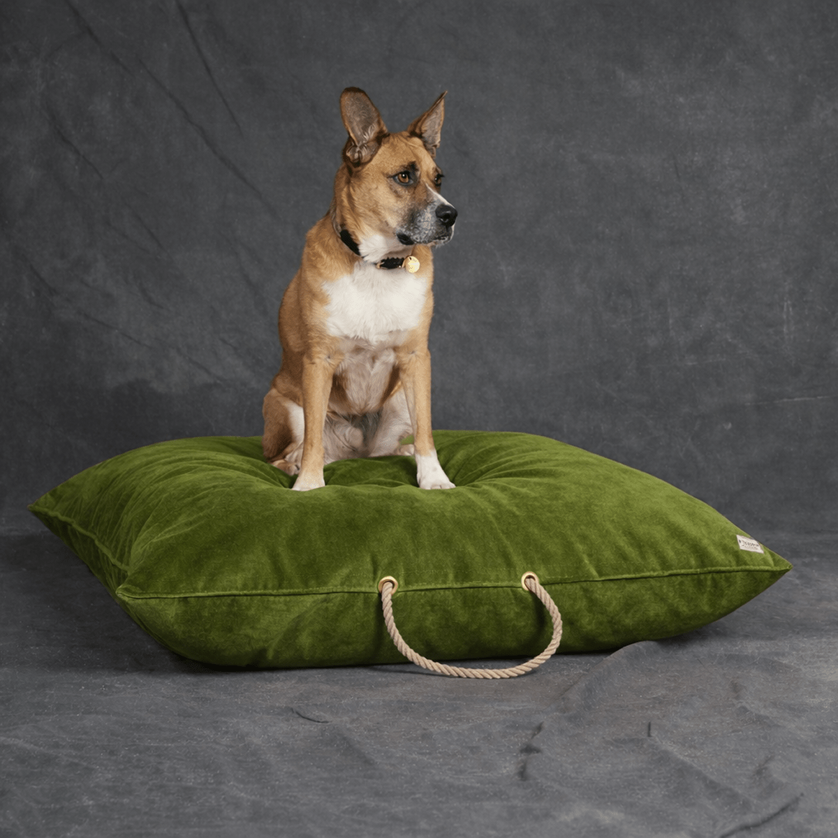 Moss Washable Velvet Dog Bed