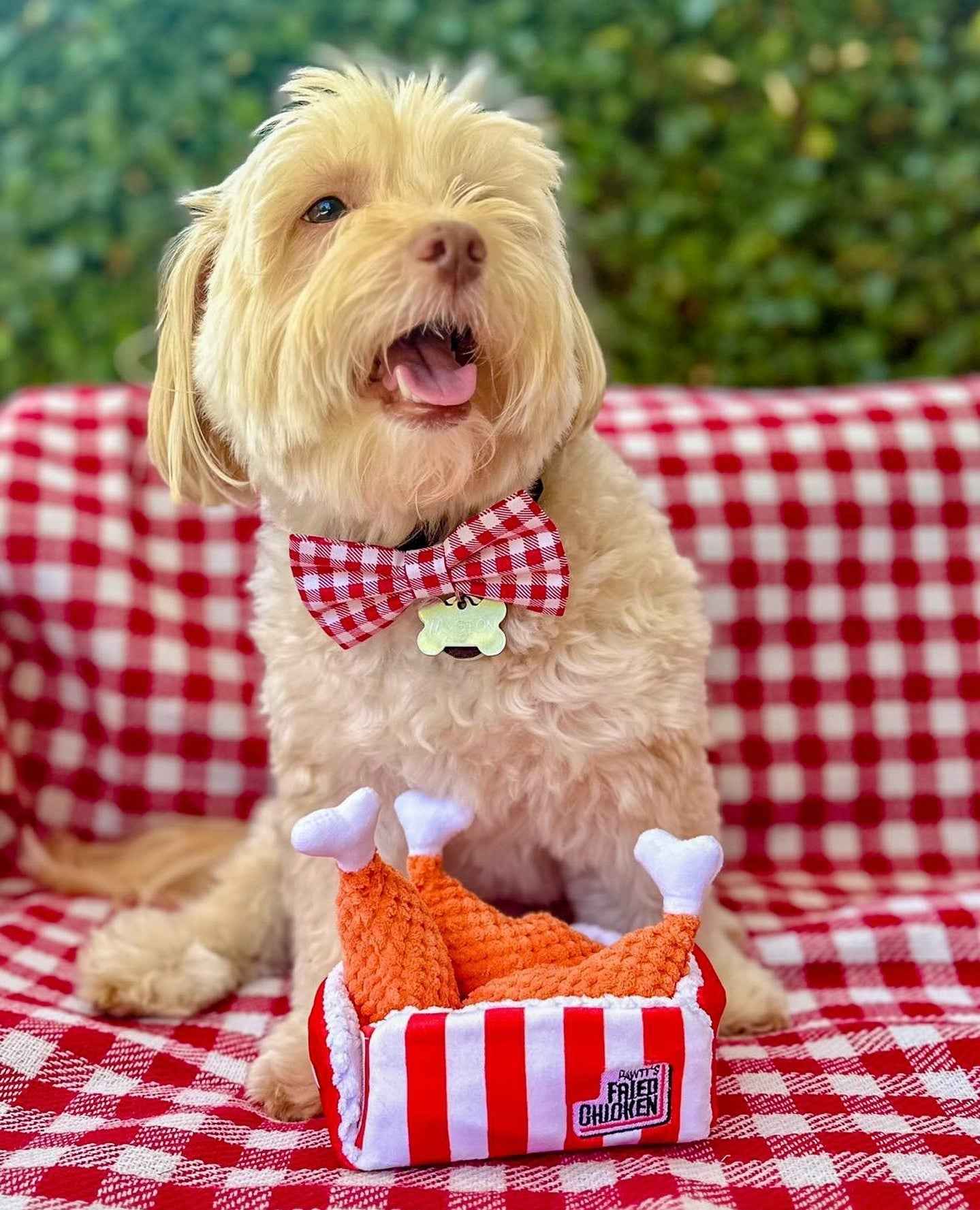 Pawty Fried Chicken Interactive Snuffle Dog Toy