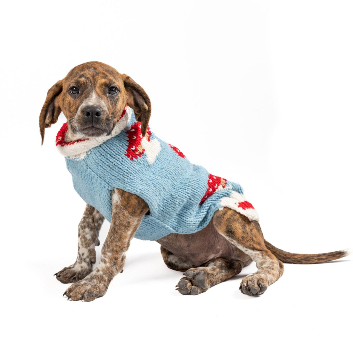 Chilly Dog Mushroom Wool Dog Sweater