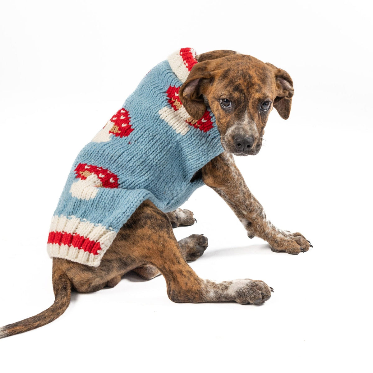 Chilly Dog Mushroom Wool Dog Sweater