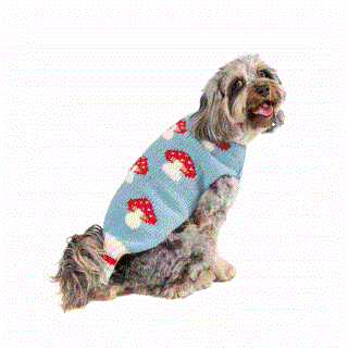 Chilly Dog Mushroom Wool Dog Sweater