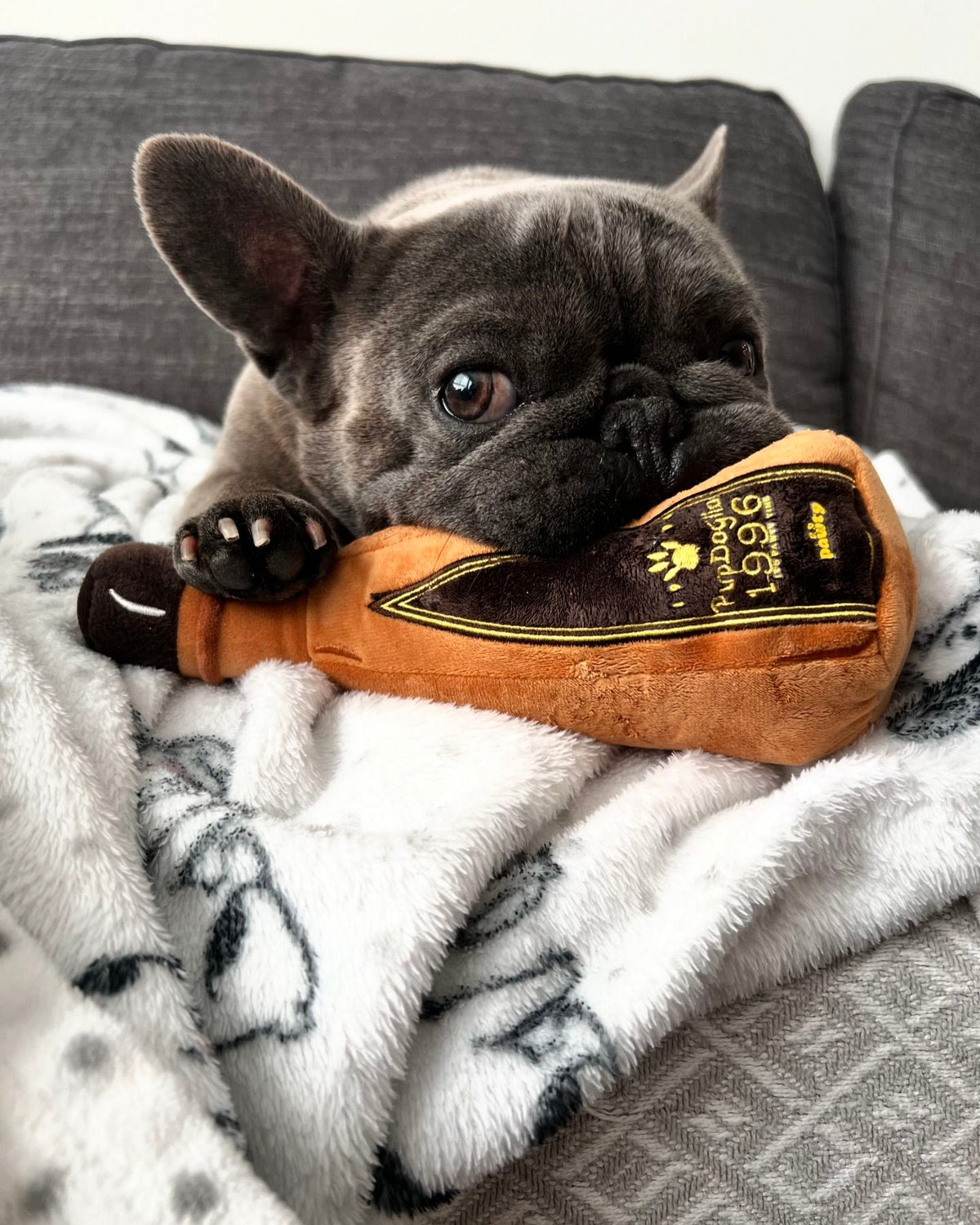 Pawty 1996 Tequila Bottle Squeaky Dog Toy