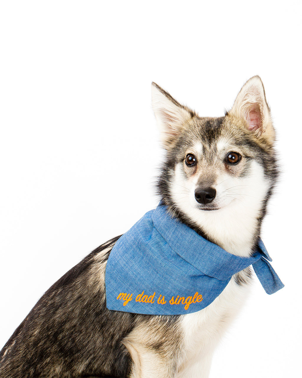 EMBROIDERED BANDANA
