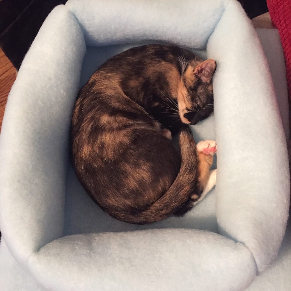 Kitty Kuddler Nesting Cat Bed premium pet product