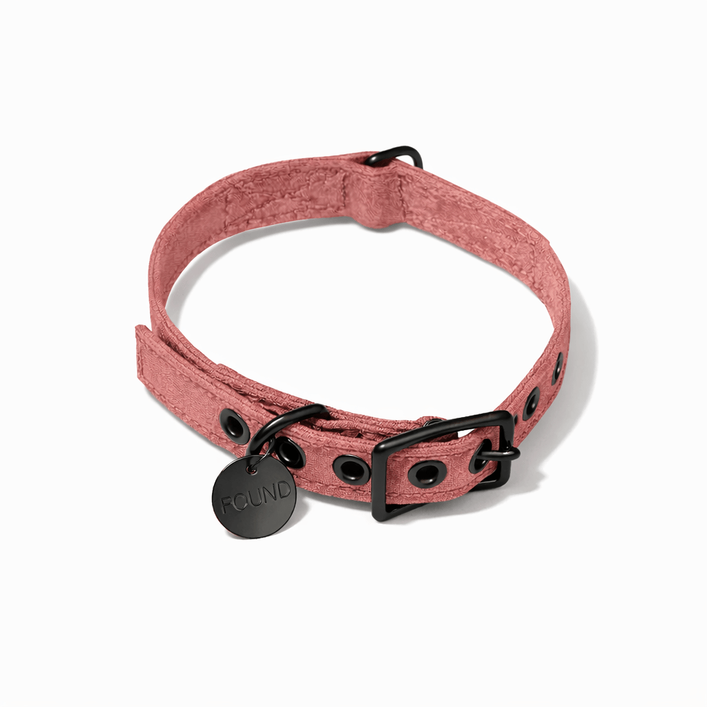 Nantucket Waxed Cotton Canvas Cat & Dog Collar – Matte Black Hardware