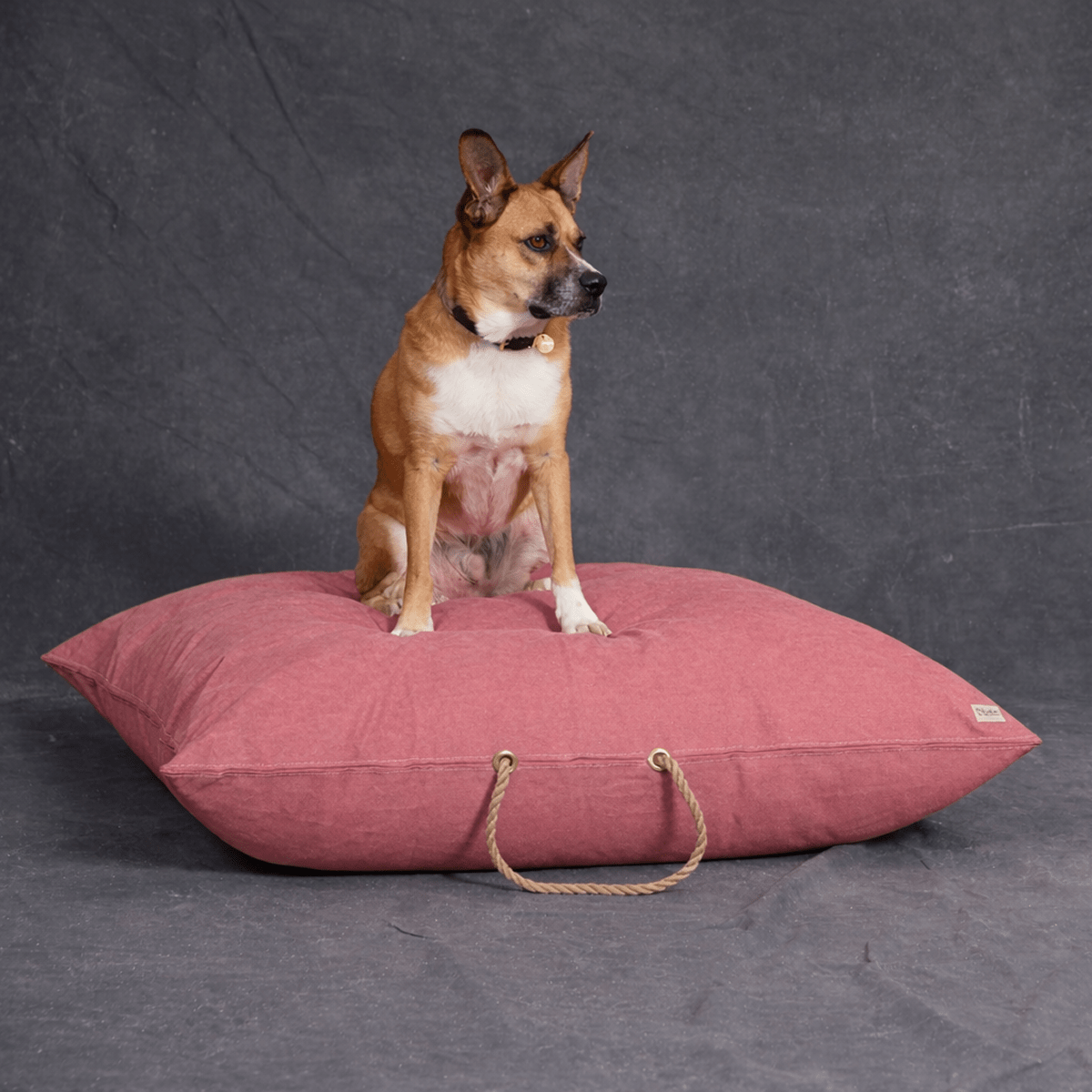 Nantucket Waxed Cotton Canvas Dog Bed