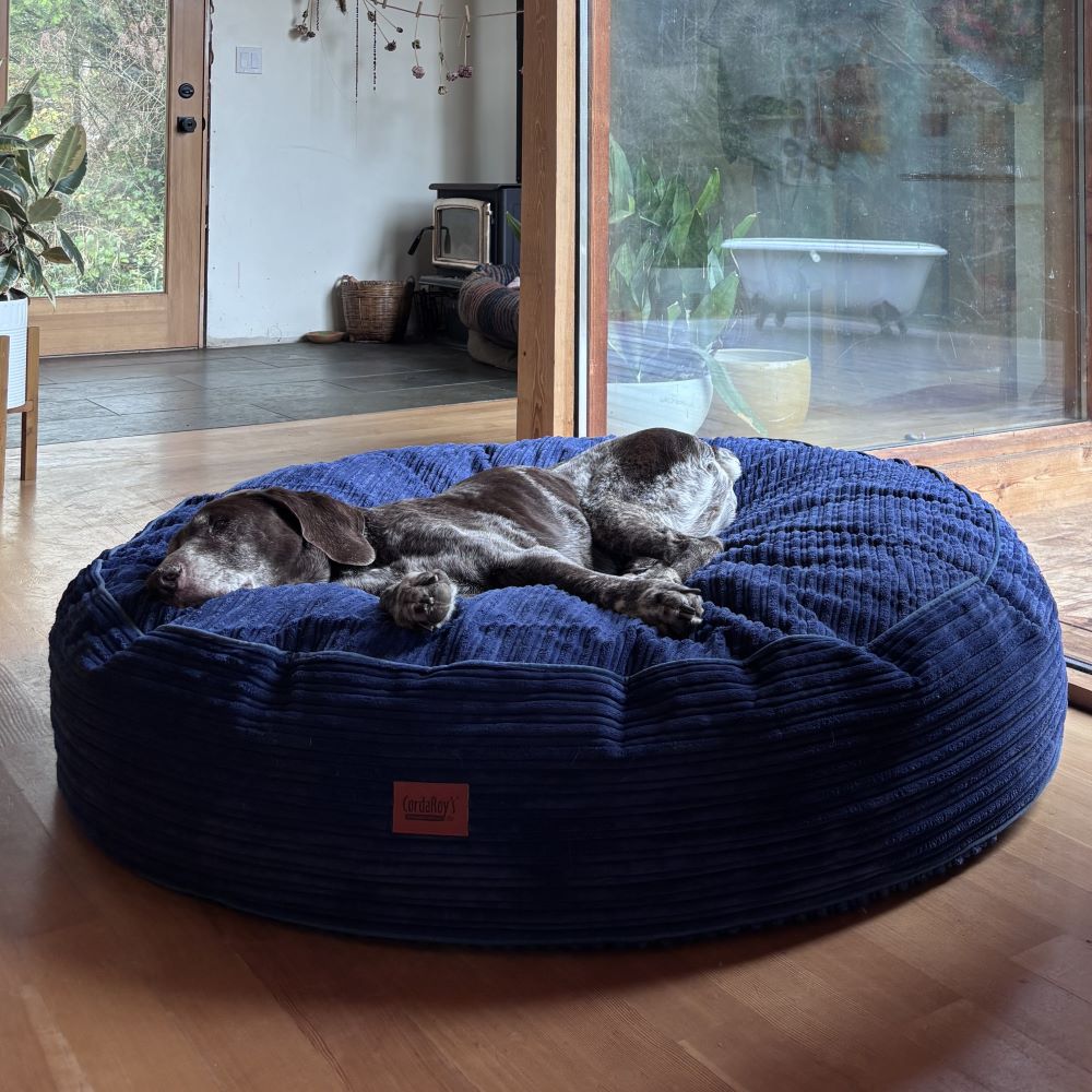 CordaRoys 50-Inch Waterproof Terry Corduroy Dog Bed | HT Animal Supply