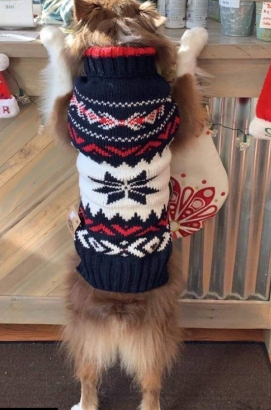 Chilly Dog Navy Vail Wool Dog Sweater