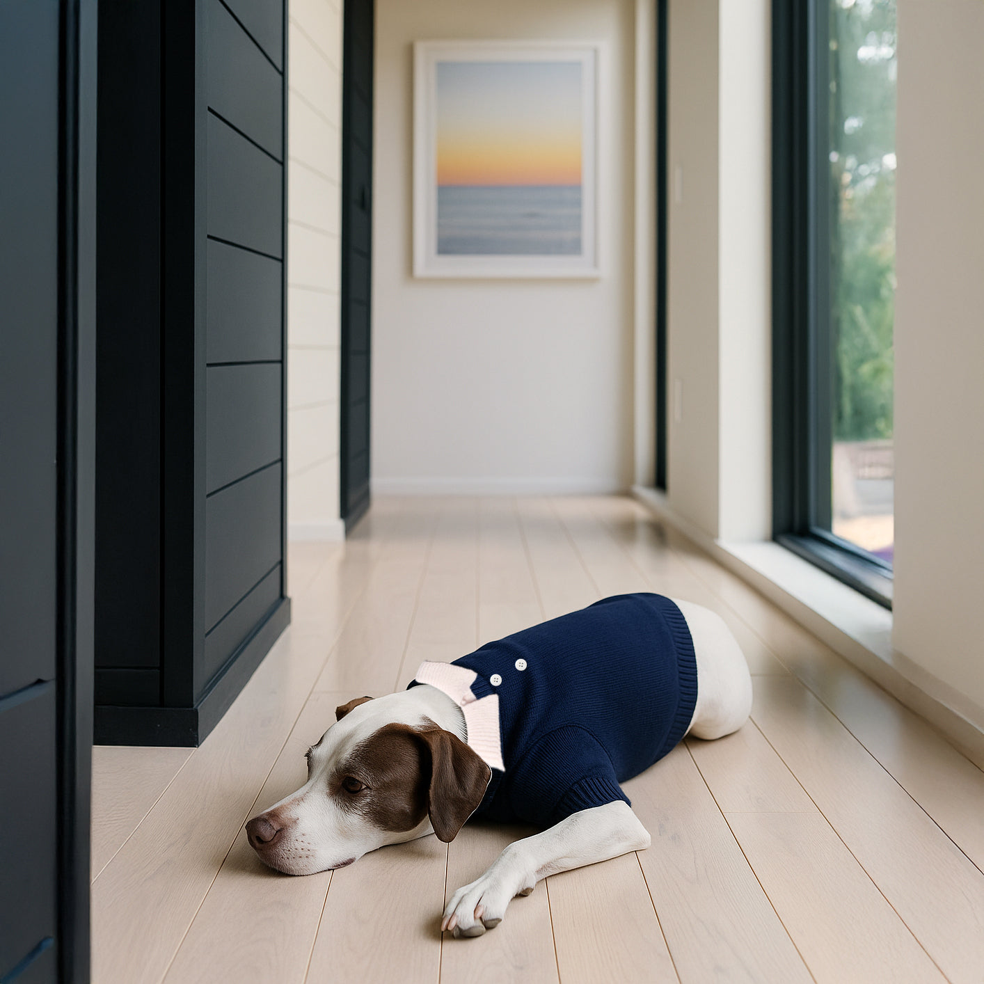 Nooee Pet Polo Wool Sweater – 100% Wool Knit with Classic Collar