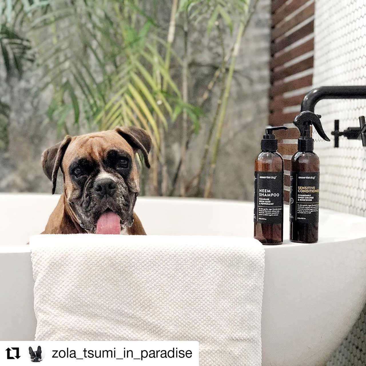 Essential Dog Sensitive Conditioner (Chamomile, Sweet Orange & Rosewood) 500ml