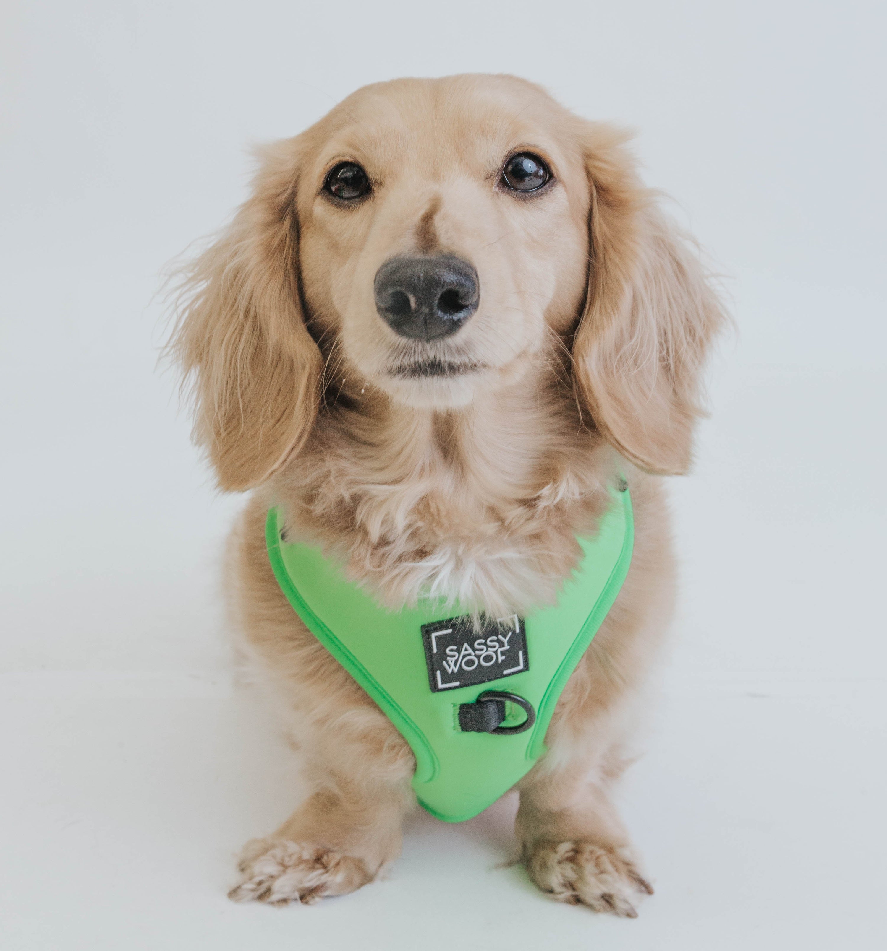 Dog Adjustable Harness - Neon Green