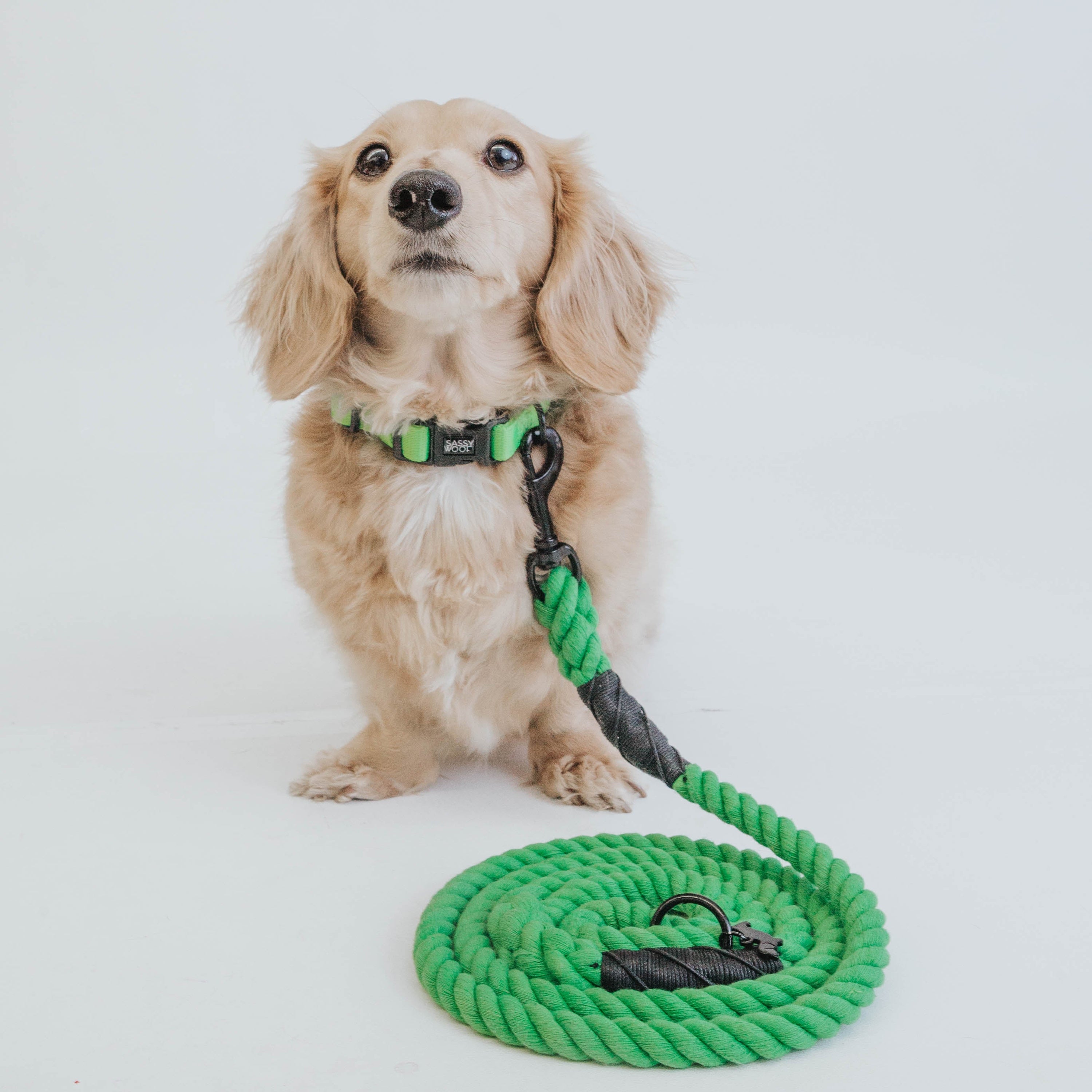 Dog Rope Leash - Neon Green