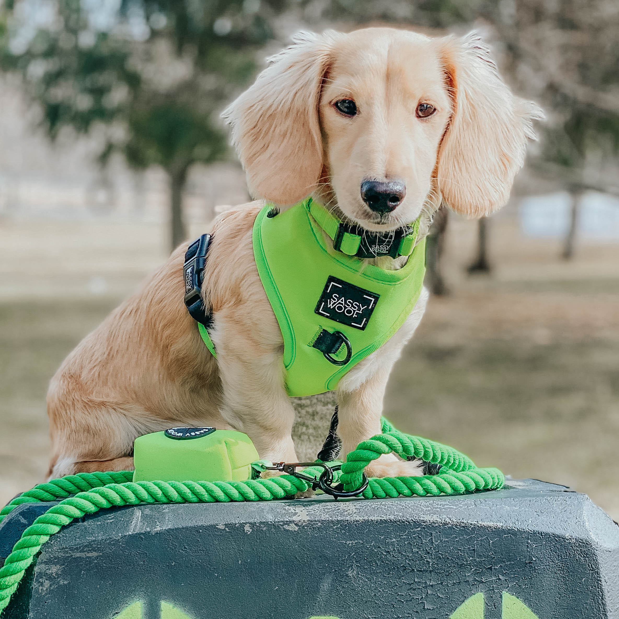 Dog Adjustable Harness - Neon Green
