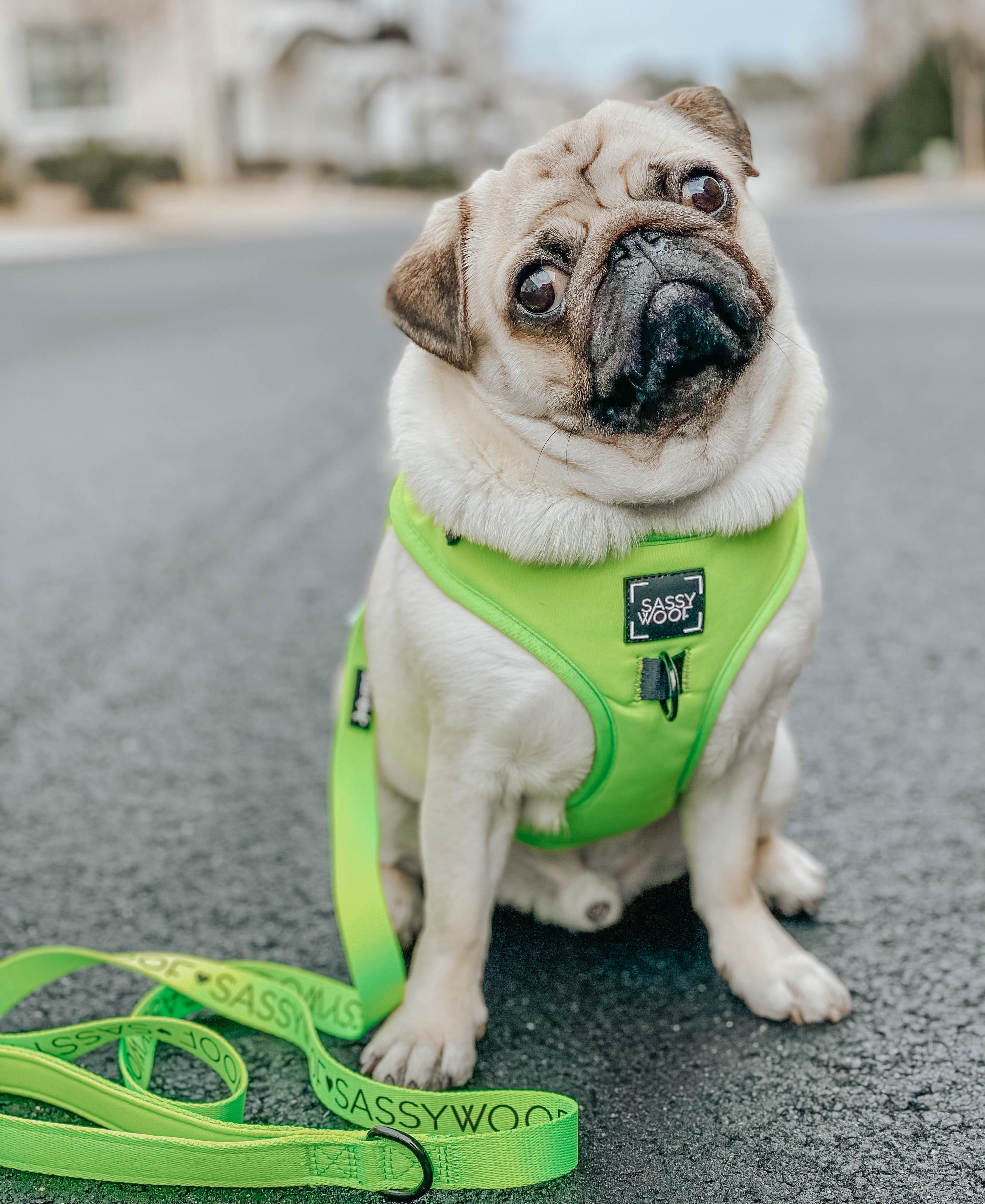 Dog Adjustable Harness - Neon Green