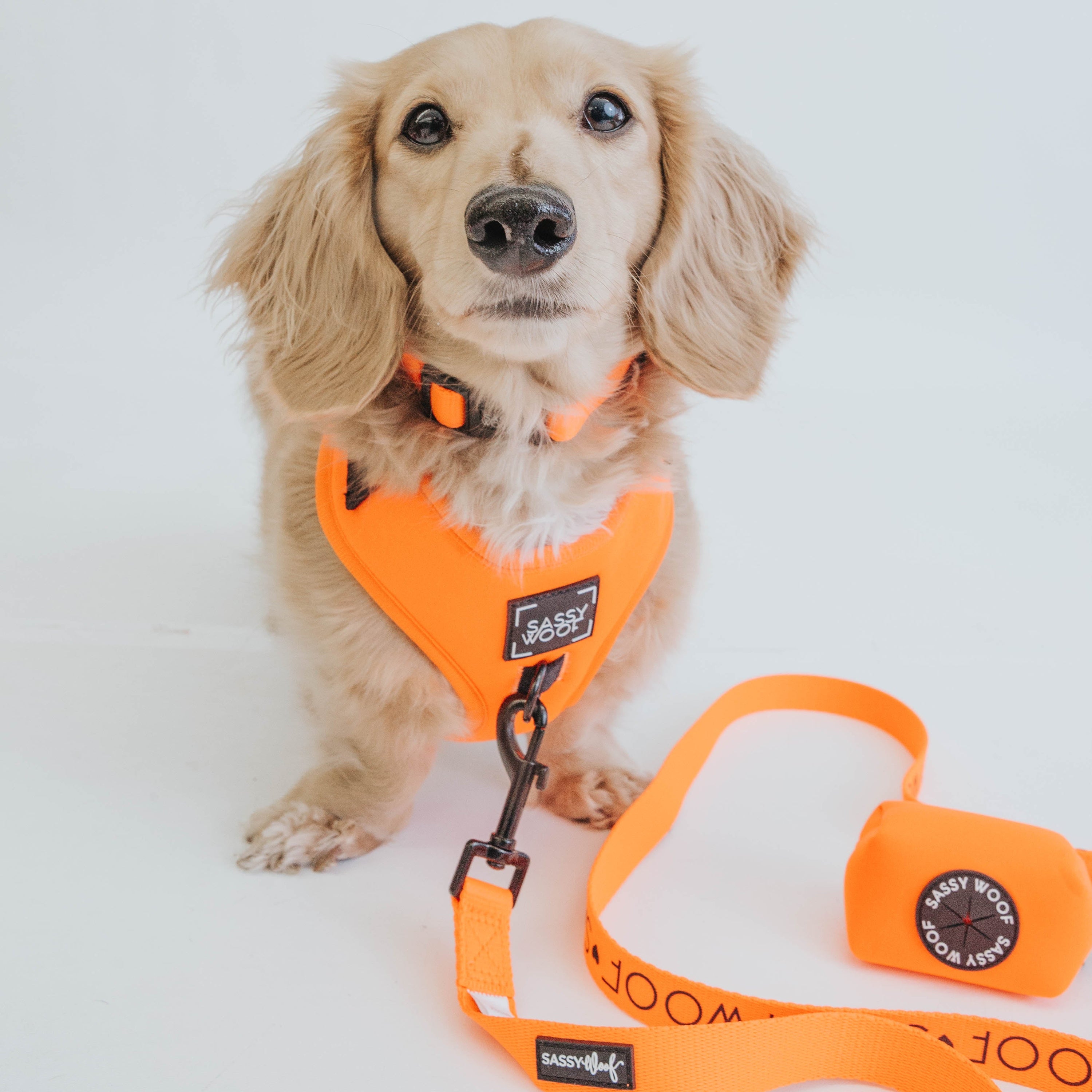 Dog Leash - Neon Orange