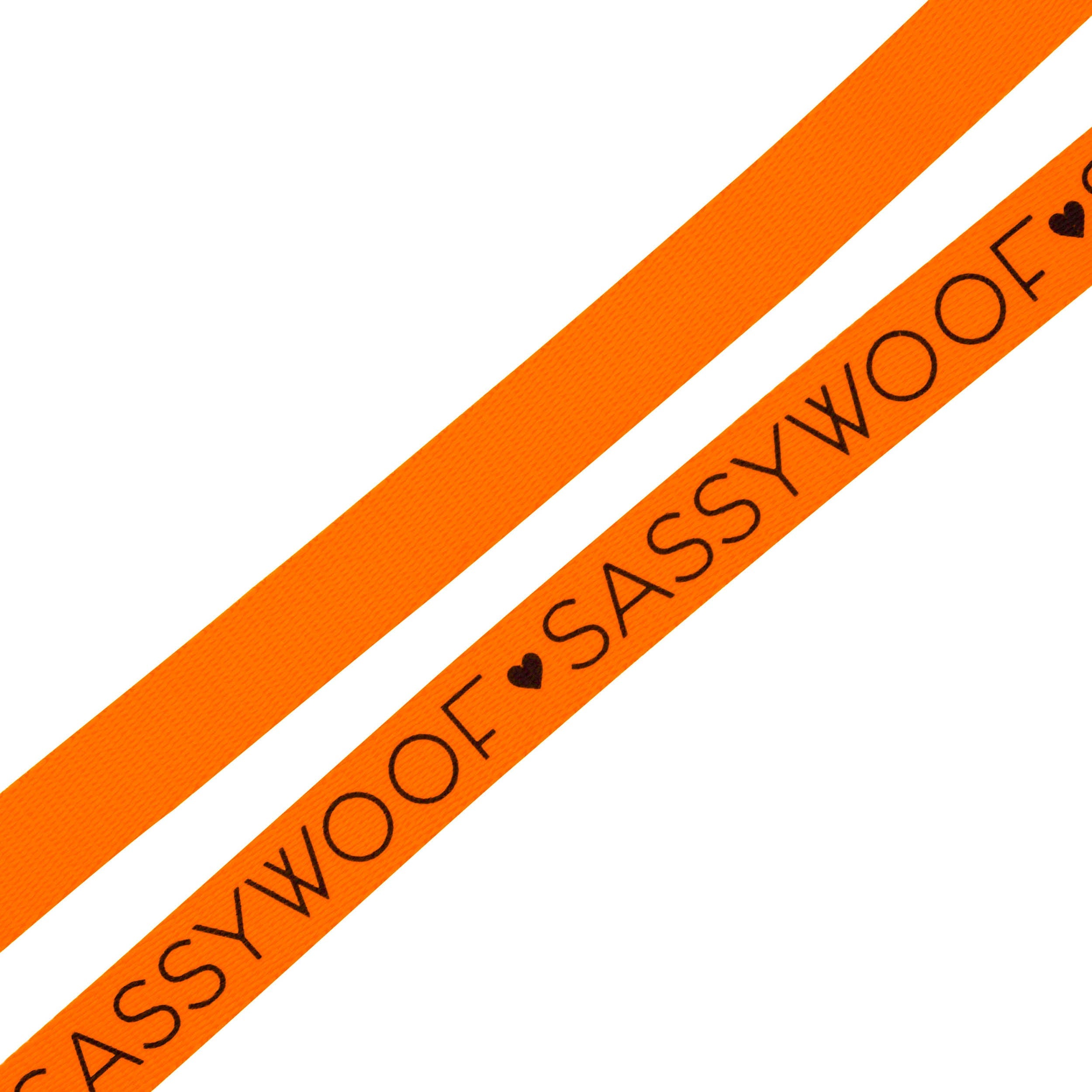 Dog Leash - Neon Orange