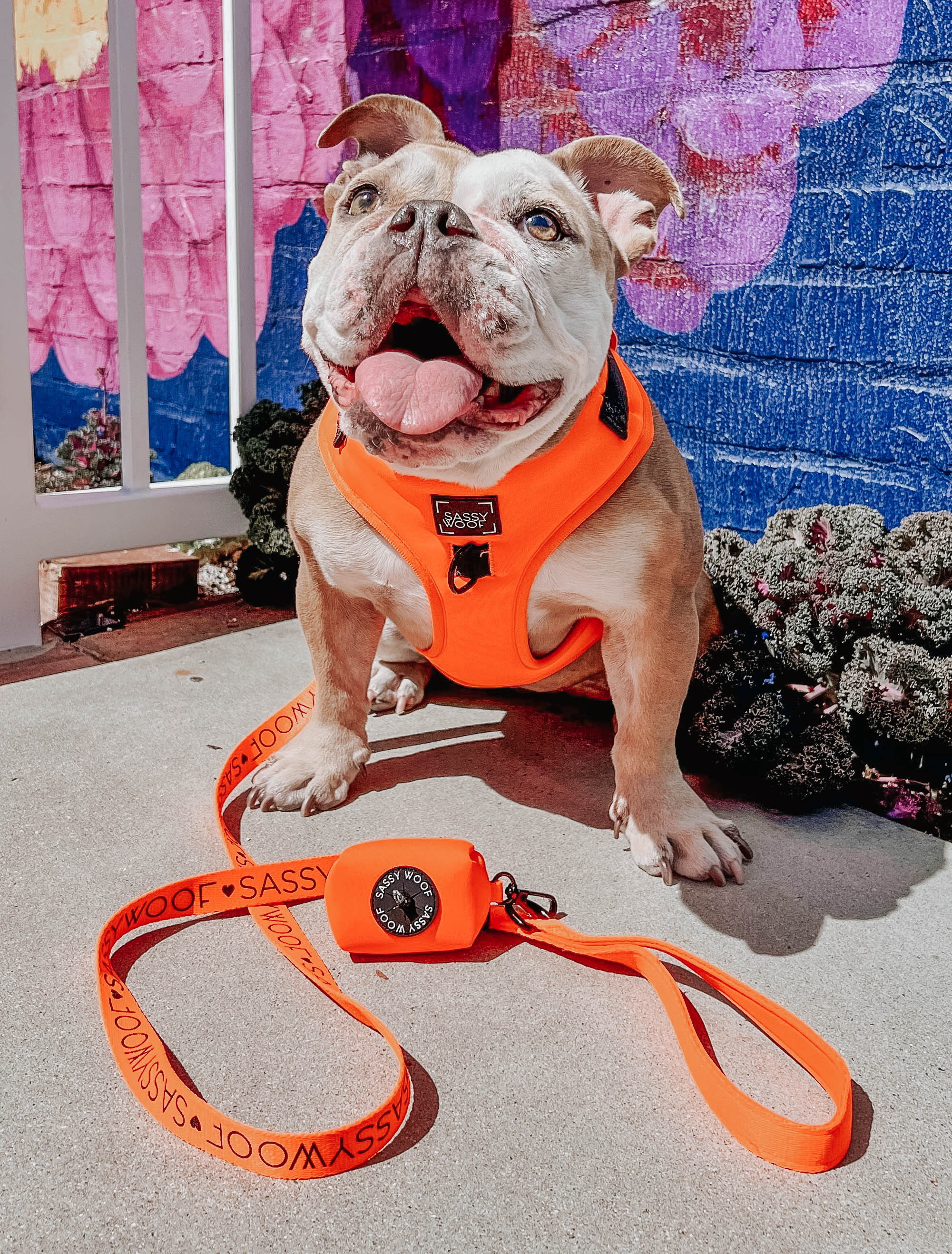 Dog Leash - Neon Orange